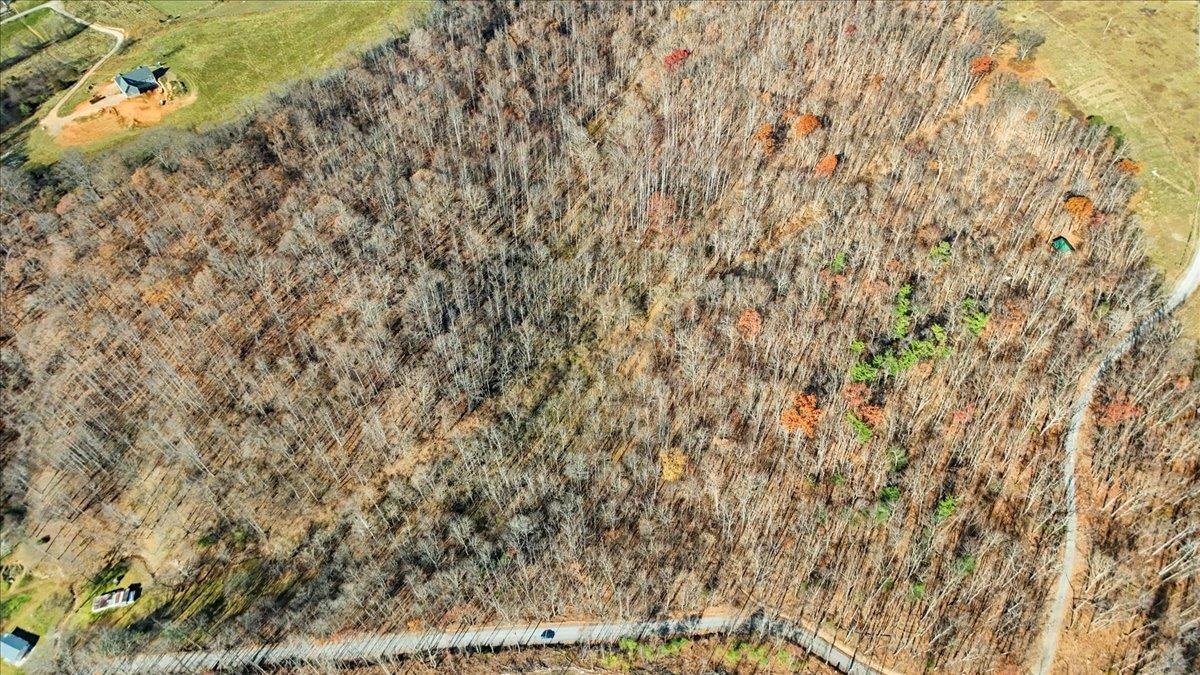 0 Hendrickson Drive Pembroke VA 24136