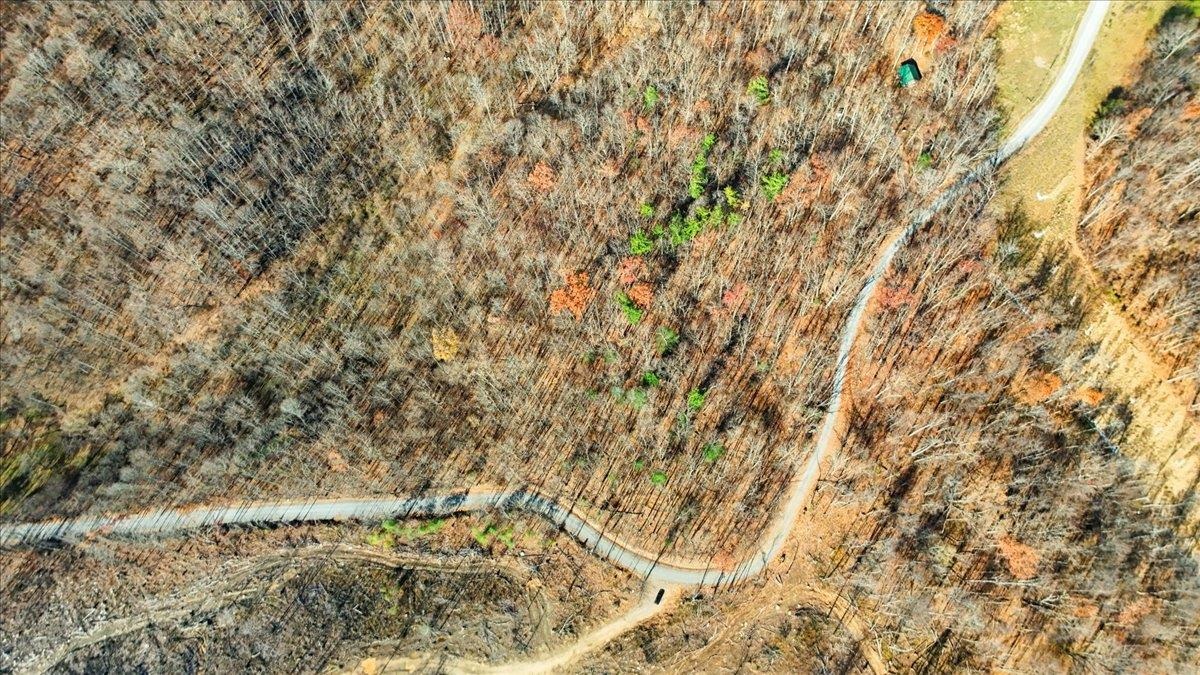 0 Hendrickson Drive Pembroke VA 24136