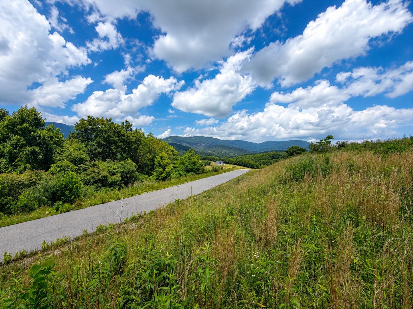 Lot 4 Green Tree Road Pembroke VA 24136