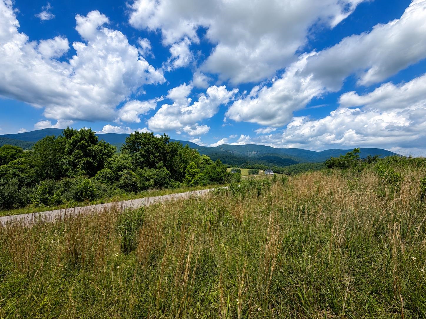 Lot 4 Green Tree Road Pembroke VA 24136