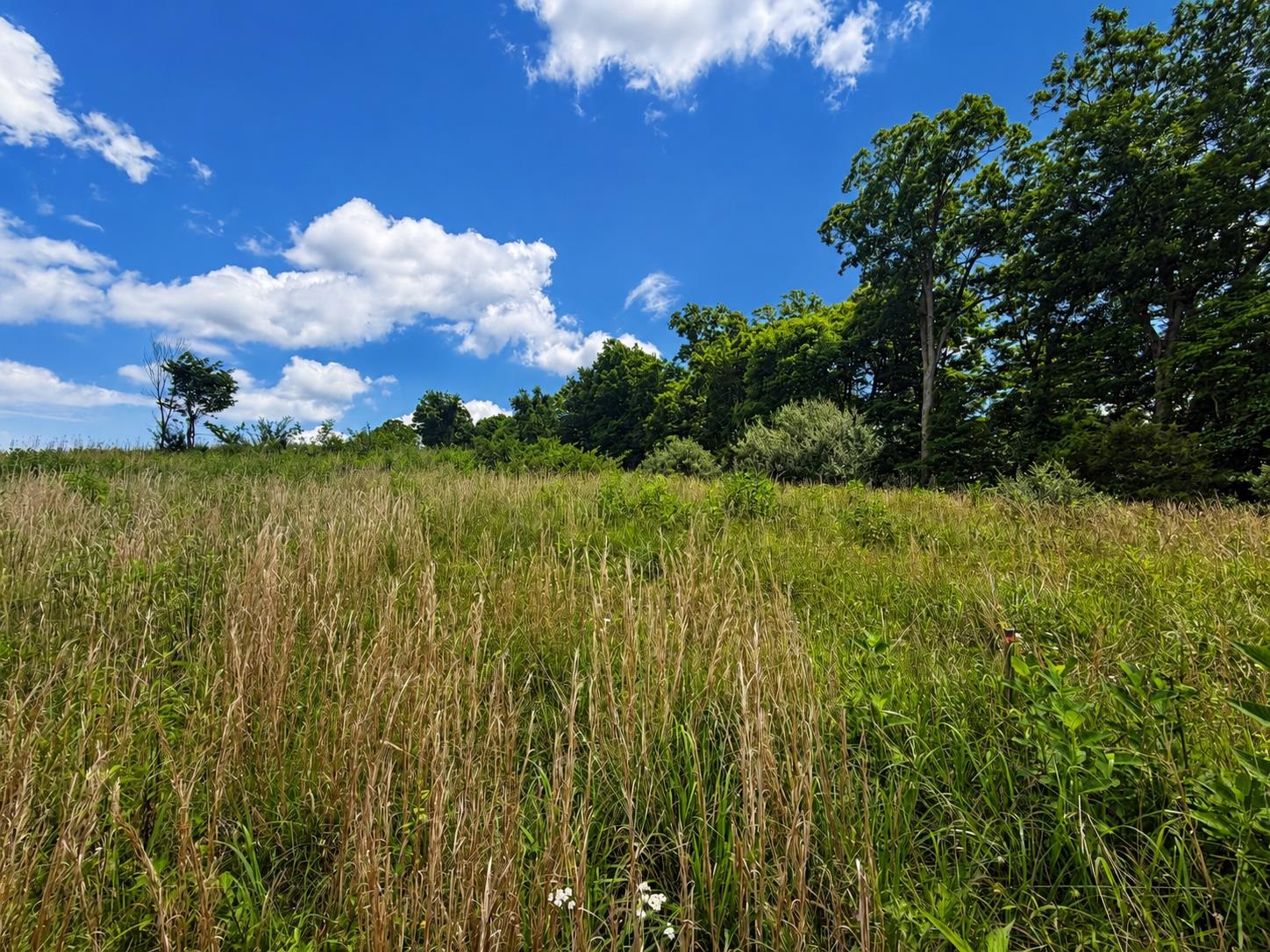 Lot 4 Green Tree Road Pembroke VA 24136