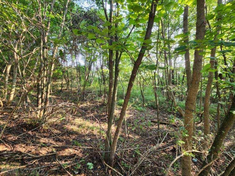 Tbd Park Boulevard Marion VA 24354