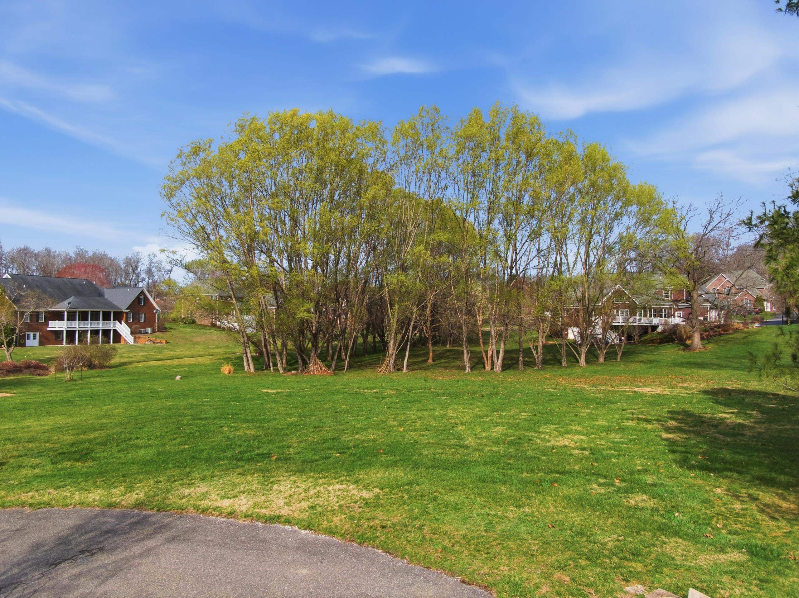 Tbd Davis Circle Wytheville VA 24382
