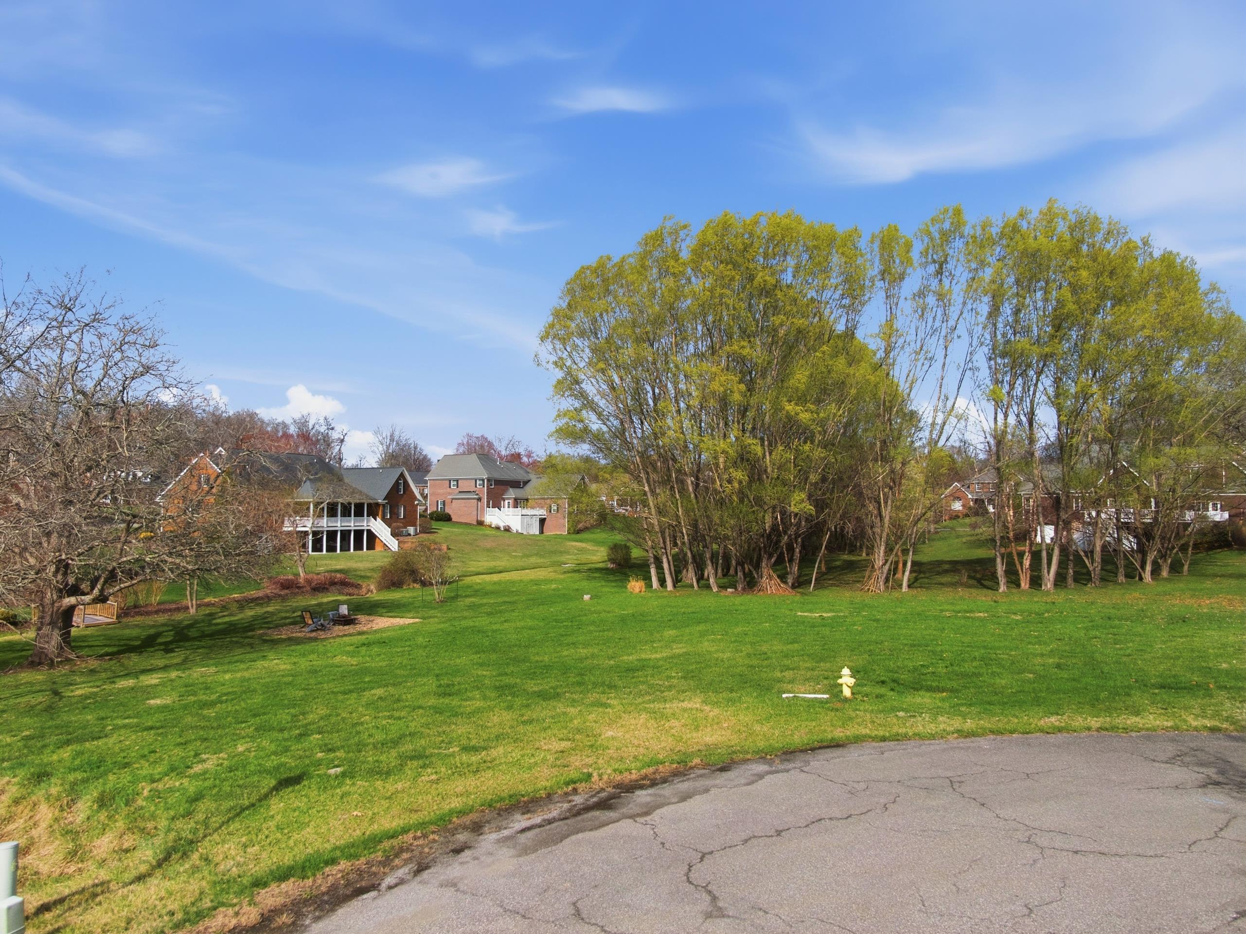 Tbd Davis Circle Wytheville VA 24382