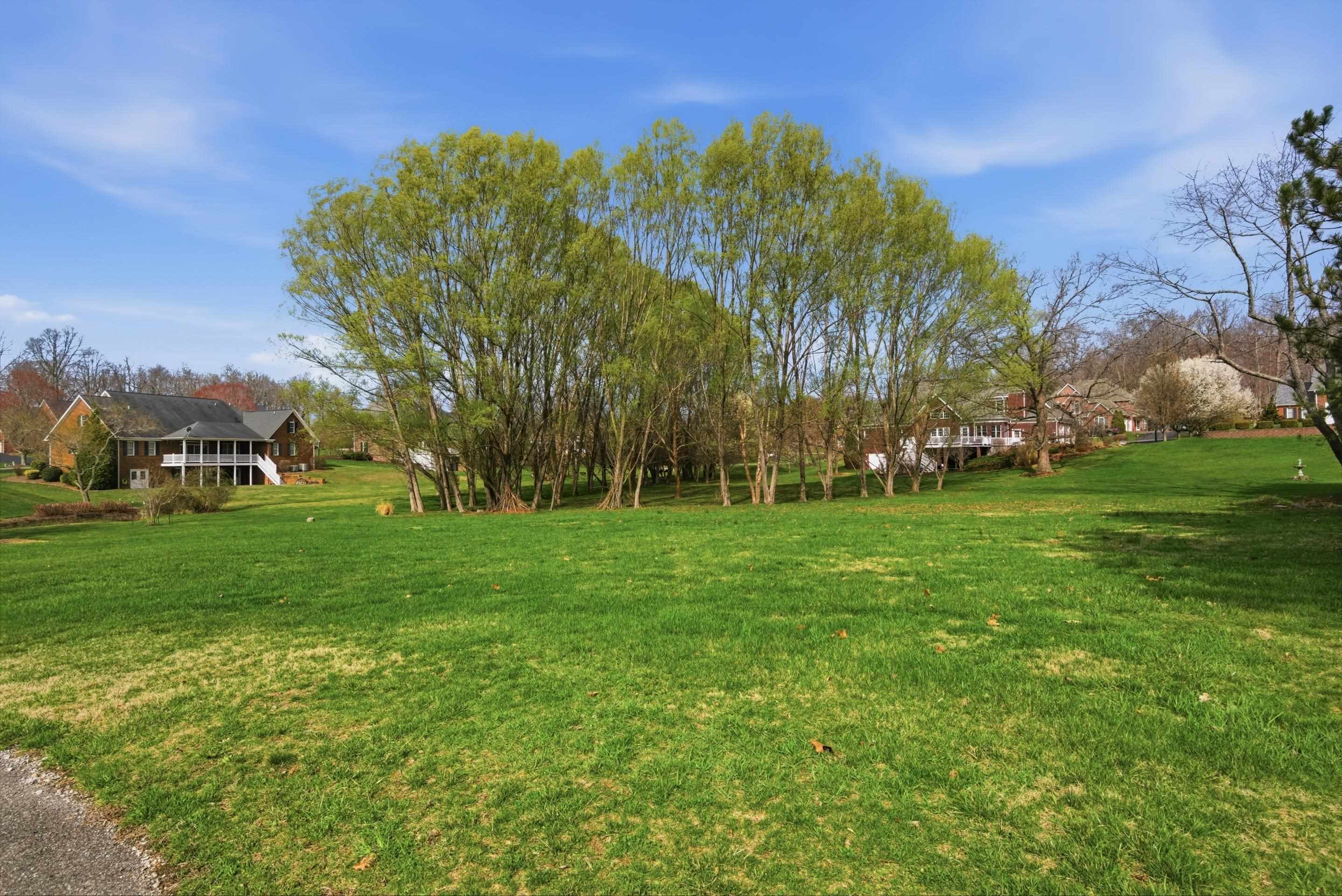 Tbd Davis Circle Wytheville VA 24382