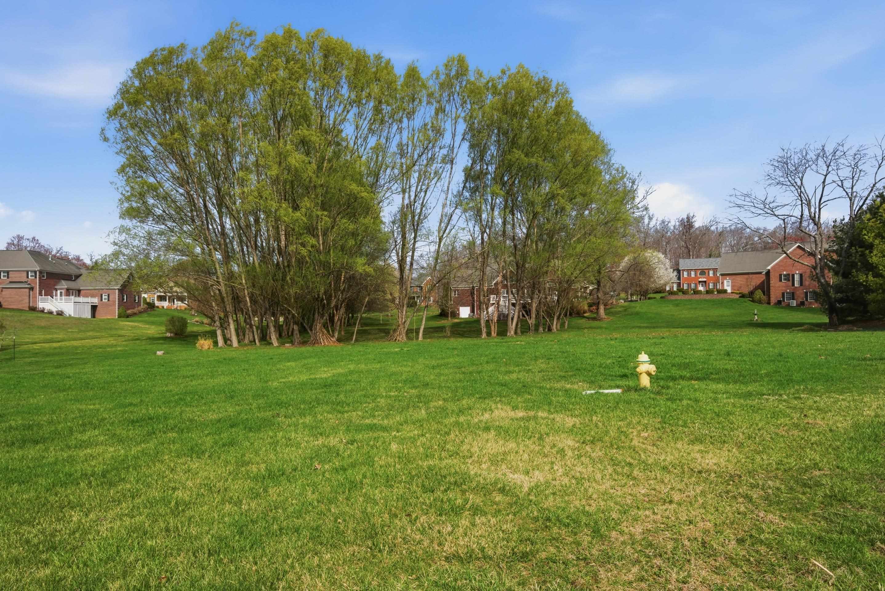 Tbd Davis Circle Wytheville VA 24382