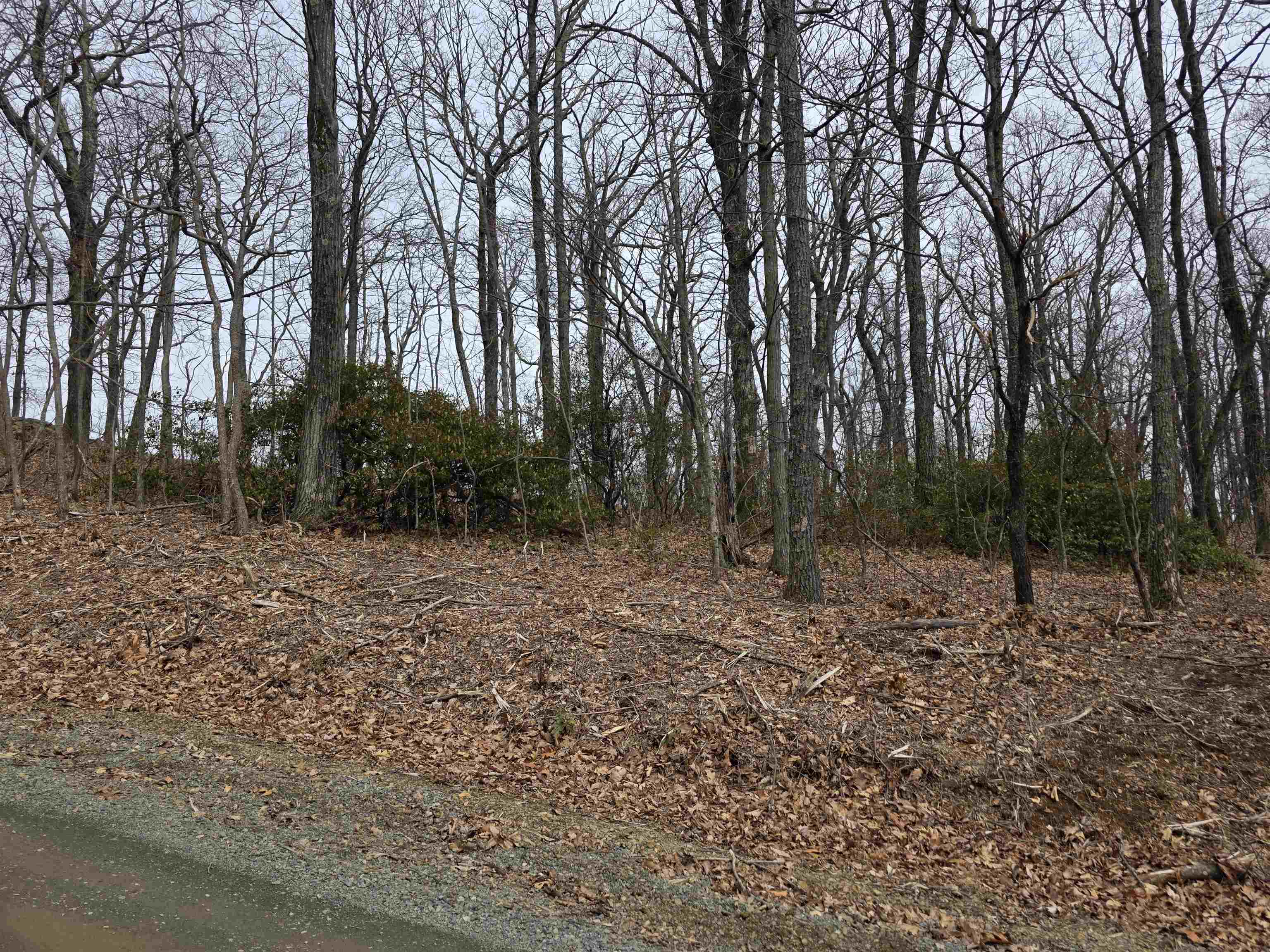 Lot 8 Edgeview Drive Meadows Of Dan VA 24120