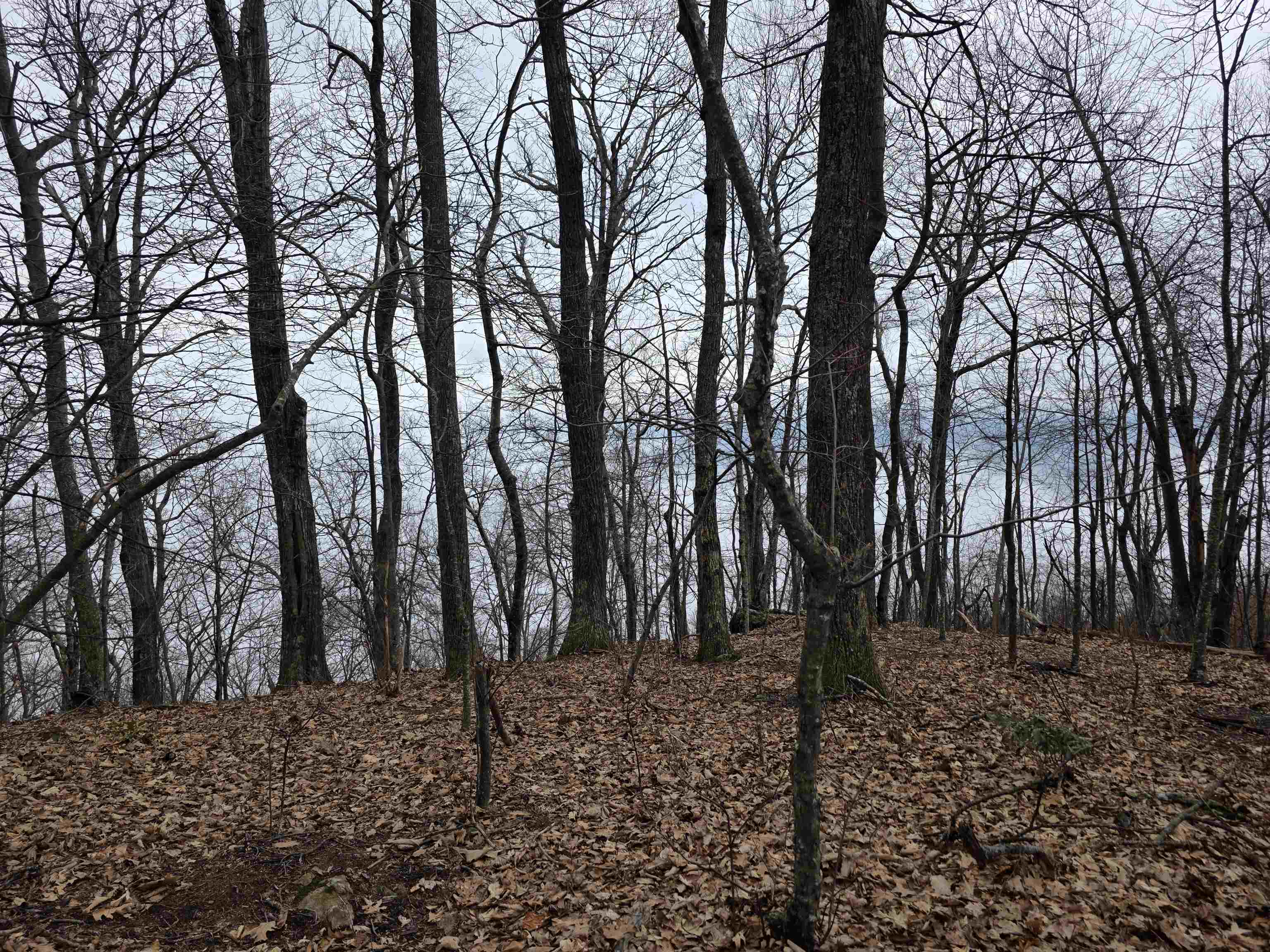 Lot 8 Edgeview Drive Meadows Of Dan VA 24120
