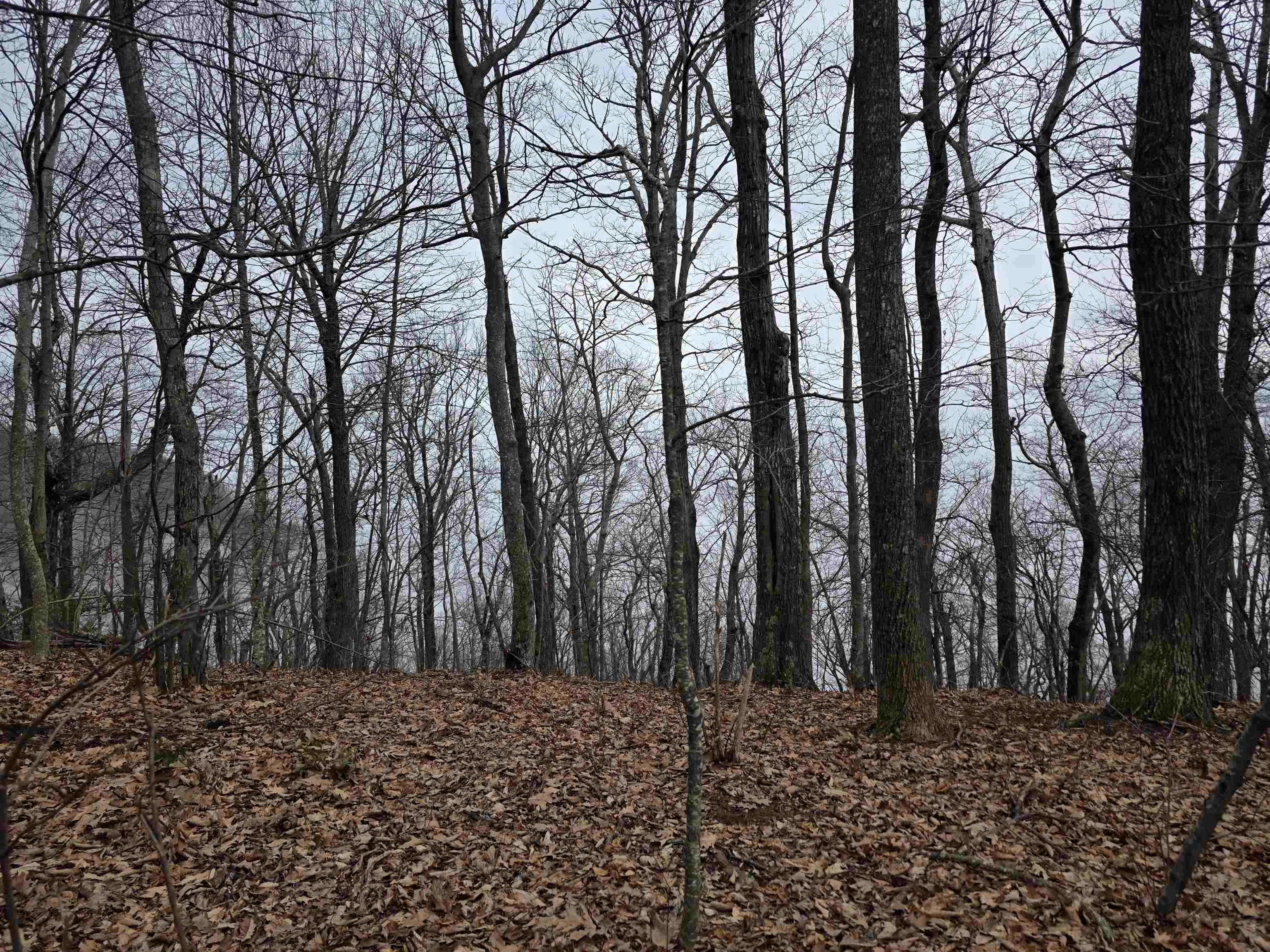 Lot 8 Edgeview Drive Meadows Of Dan VA 24120