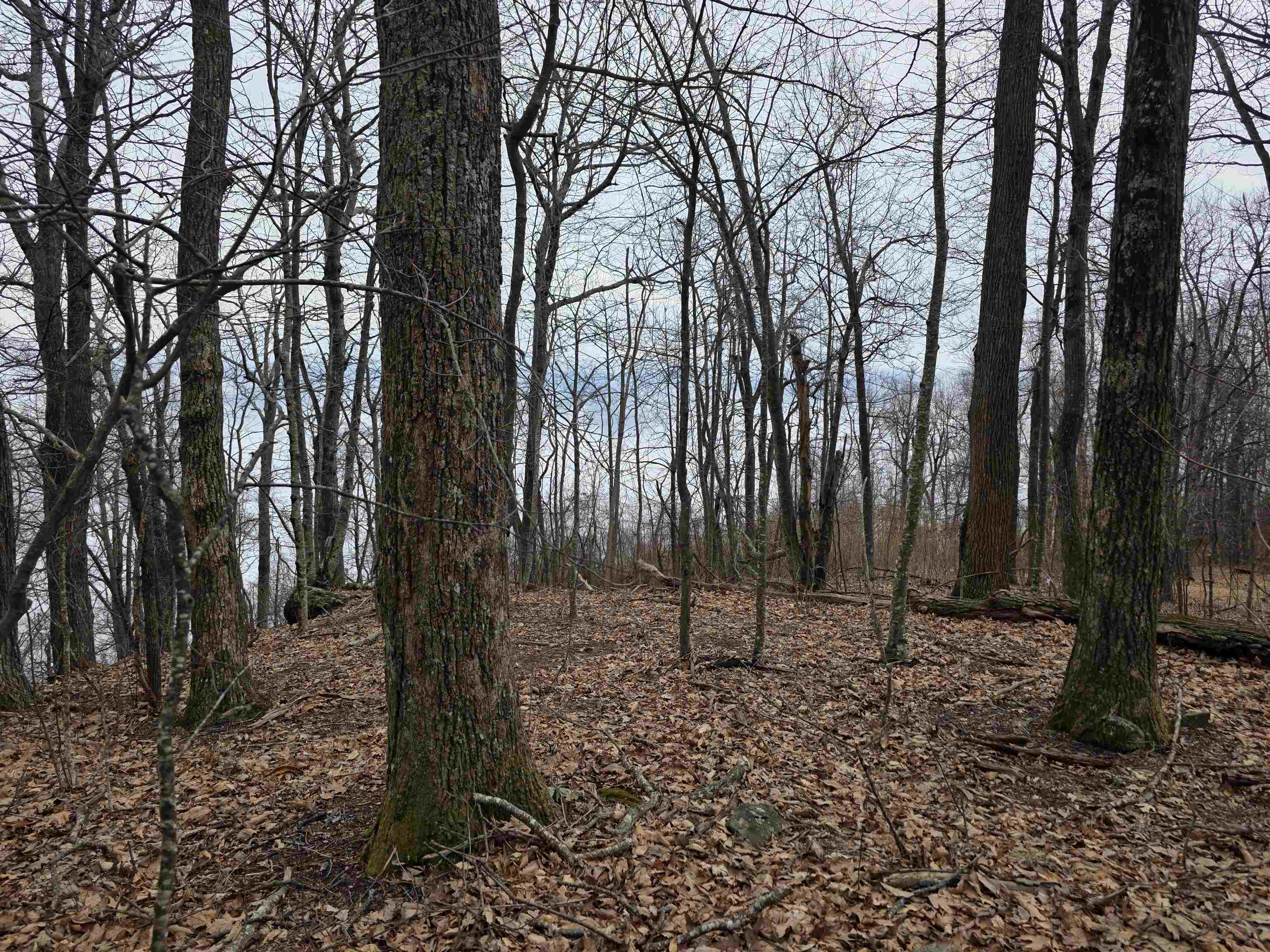 Lot 8 Edgeview Drive Meadows Of Dan VA 24120