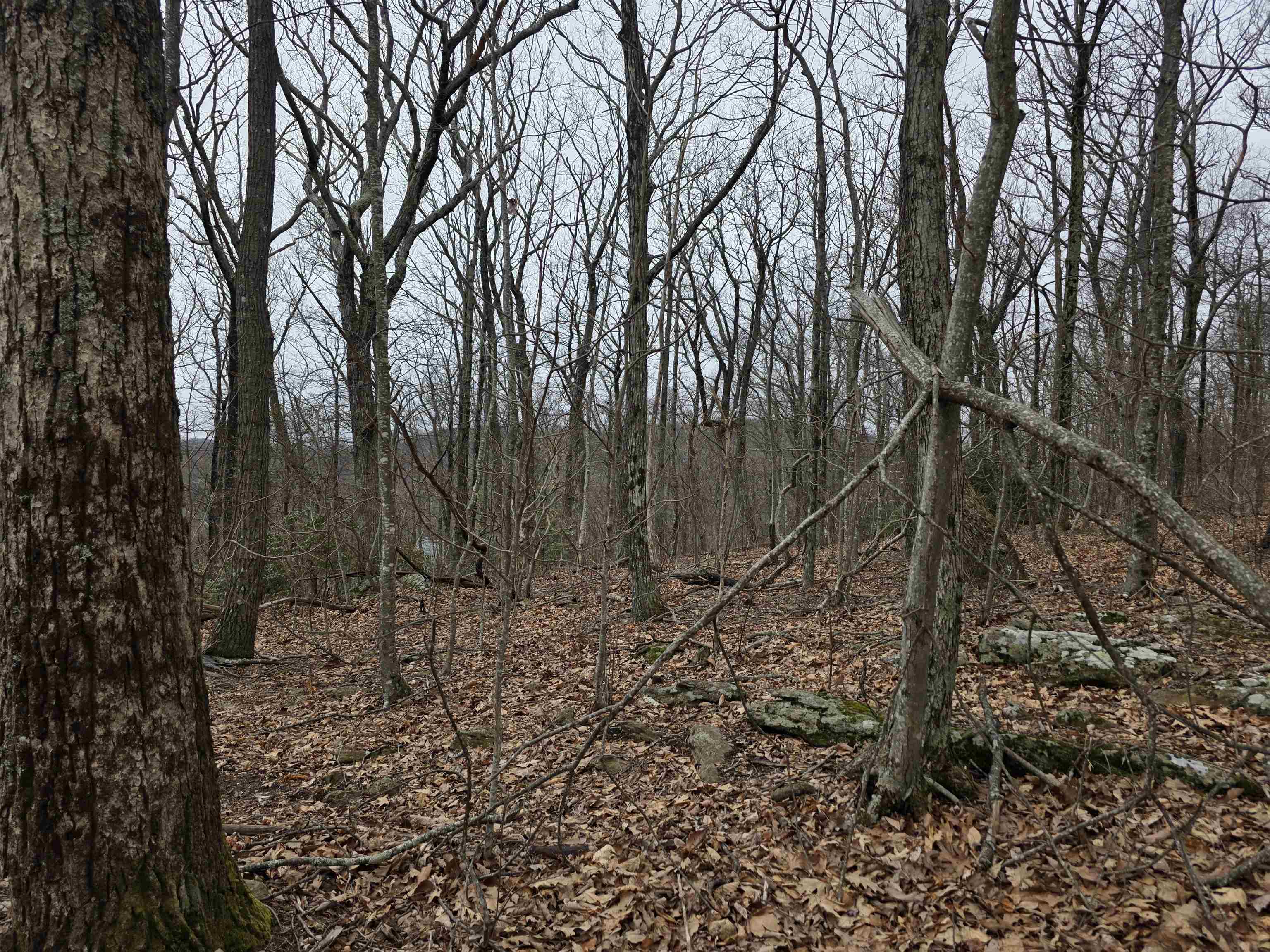 Lot 8 Edgeview Drive Meadows Of Dan VA 24120