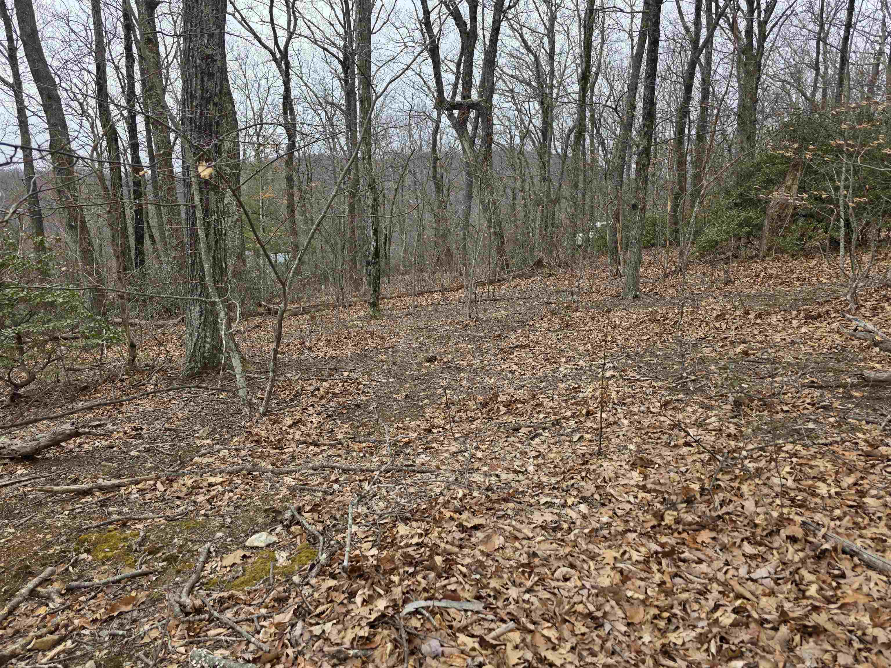 Lot 8 Edgeview Drive Meadows Of Dan VA 24120