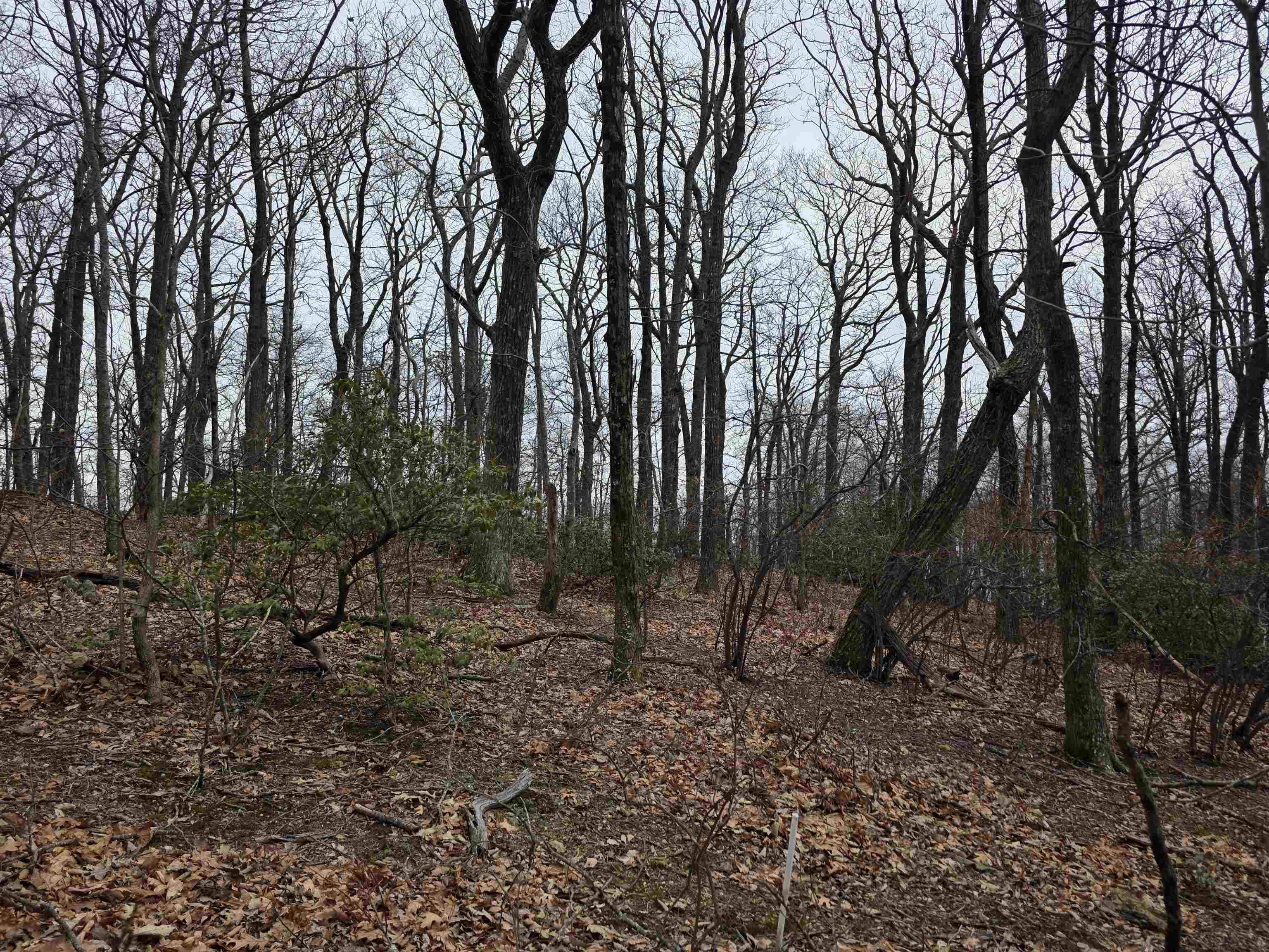 Lot 8 Edgeview Drive Meadows Of Dan VA 24120