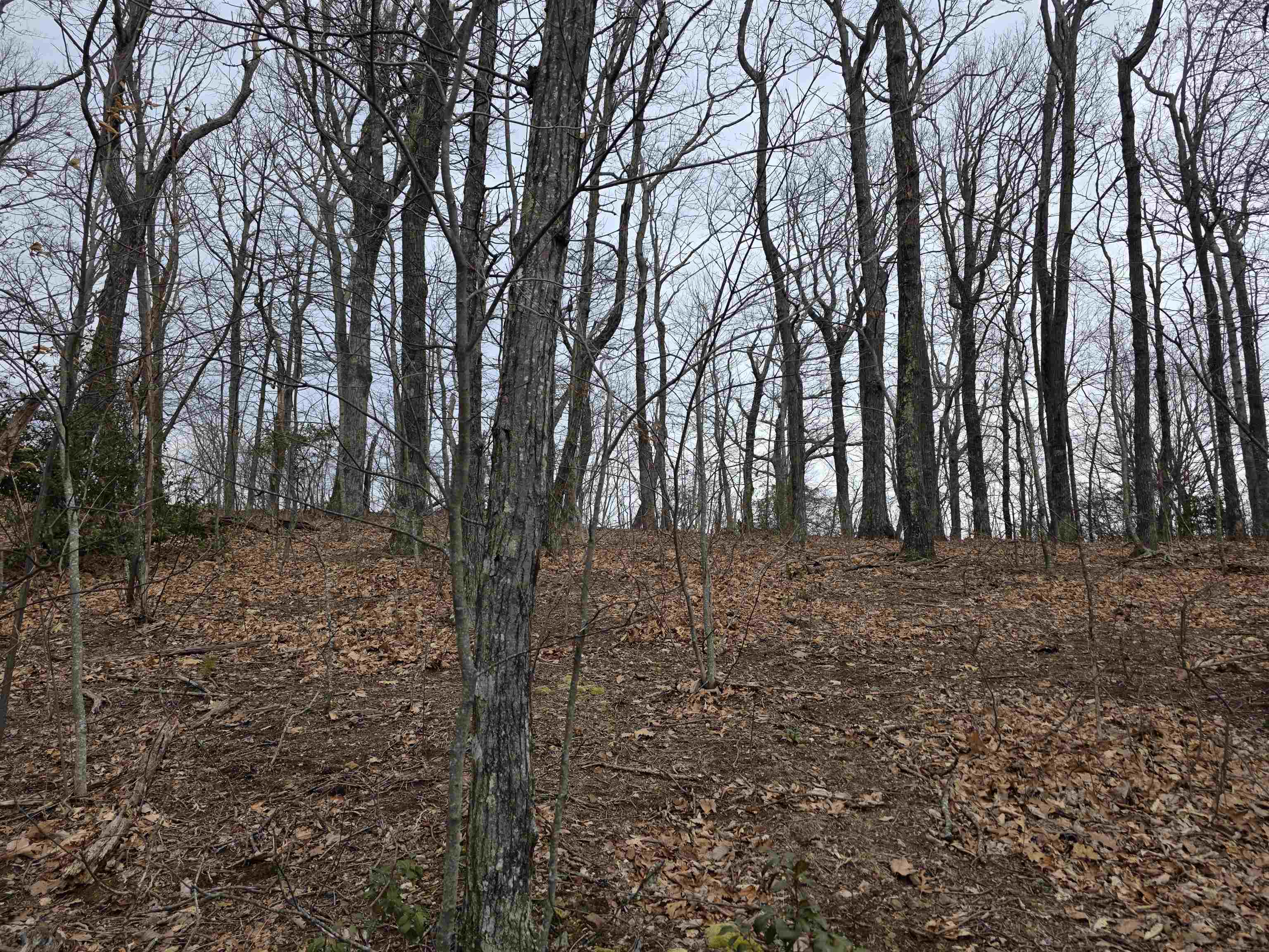 Lot 8 Edgeview Drive Meadows Of Dan VA 24120