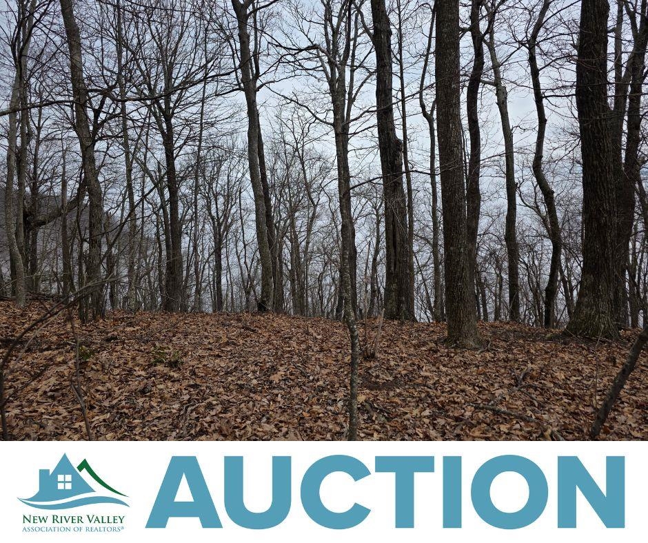 Lot 8 Edgeview Drive Meadows Of Dan VA 24120