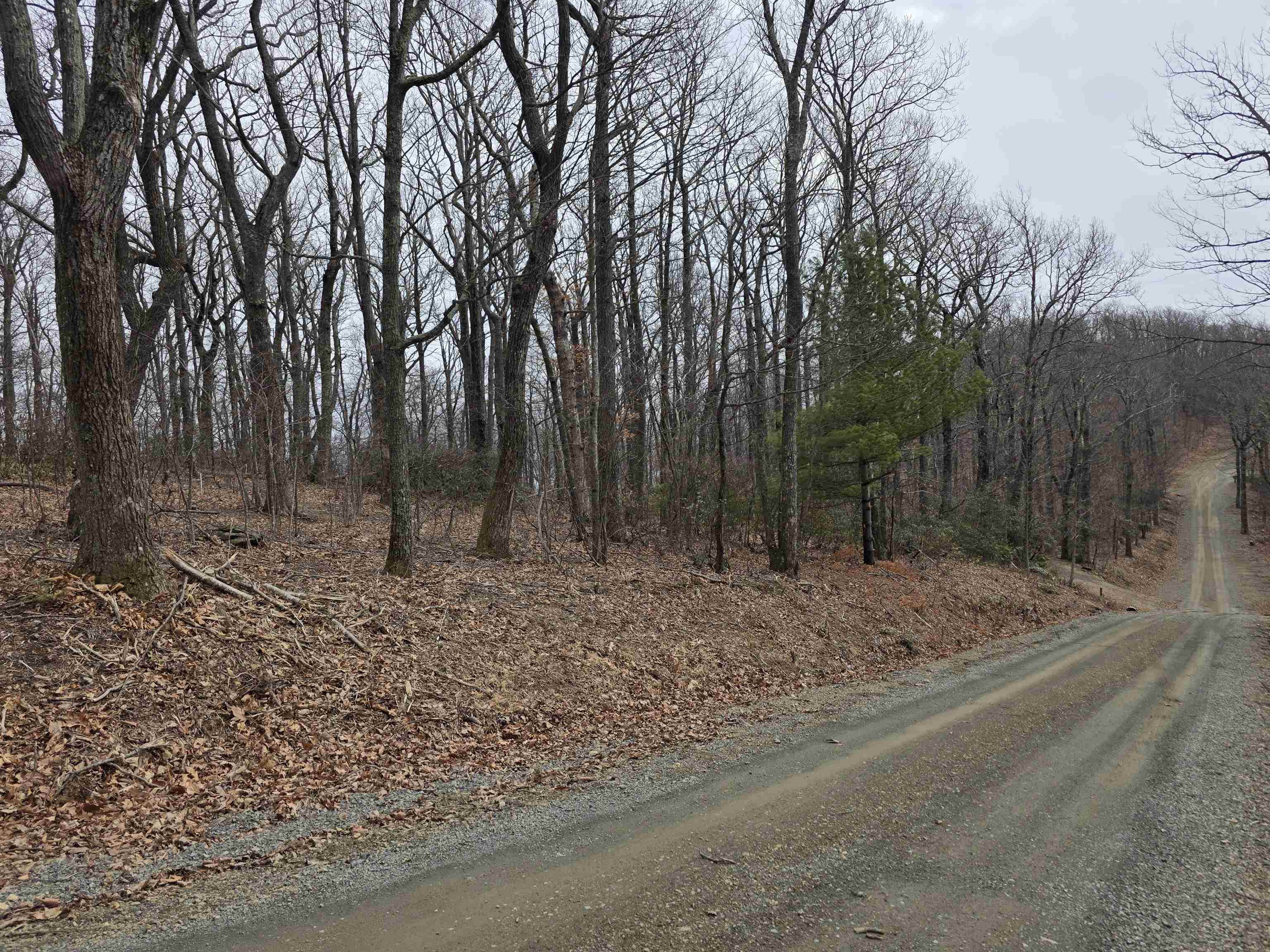Lot 8 Edgeview Drive Meadows Of Dan VA 24120