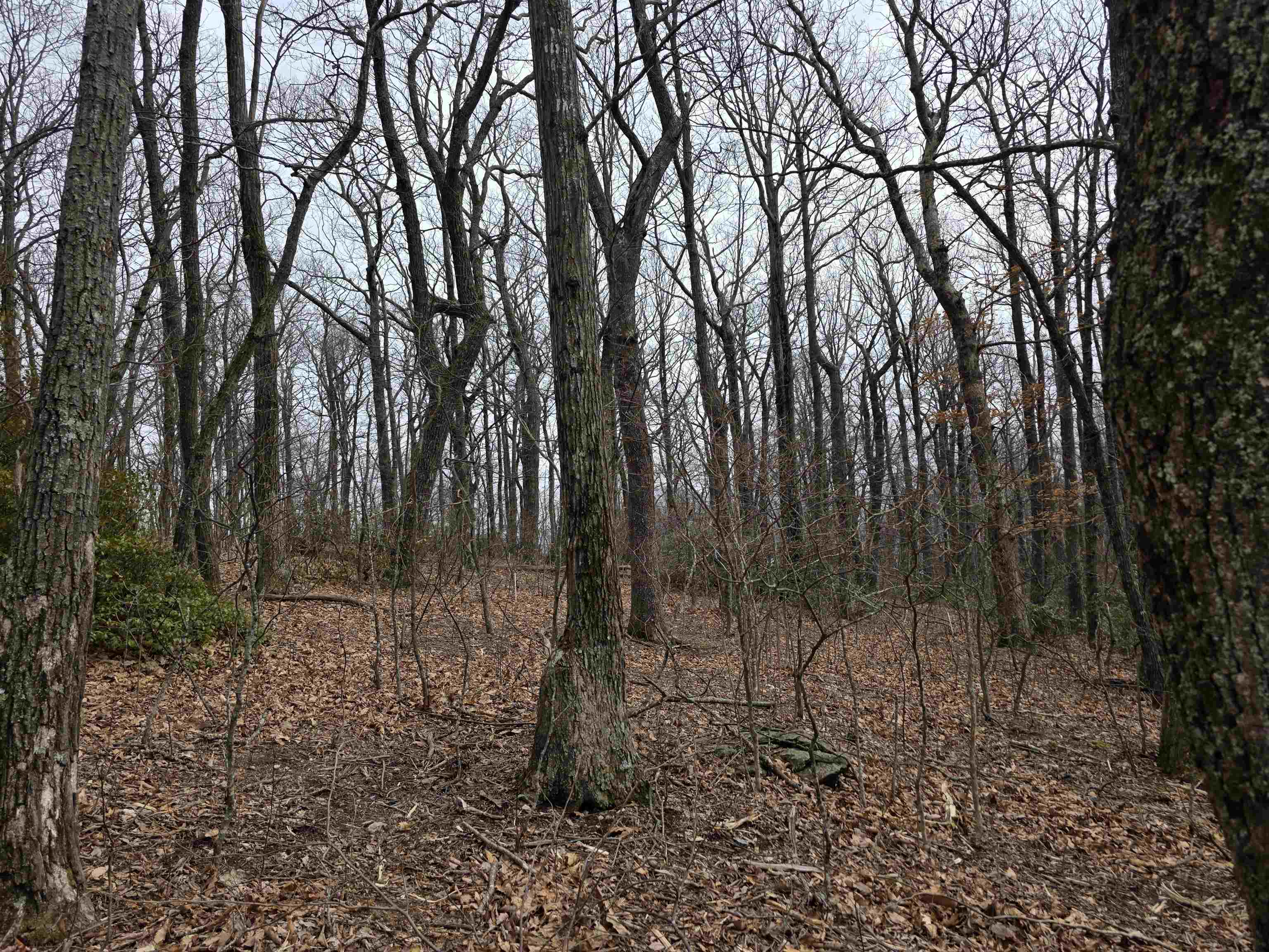 Lot 8 Edgeview Drive Meadows Of Dan VA 24120