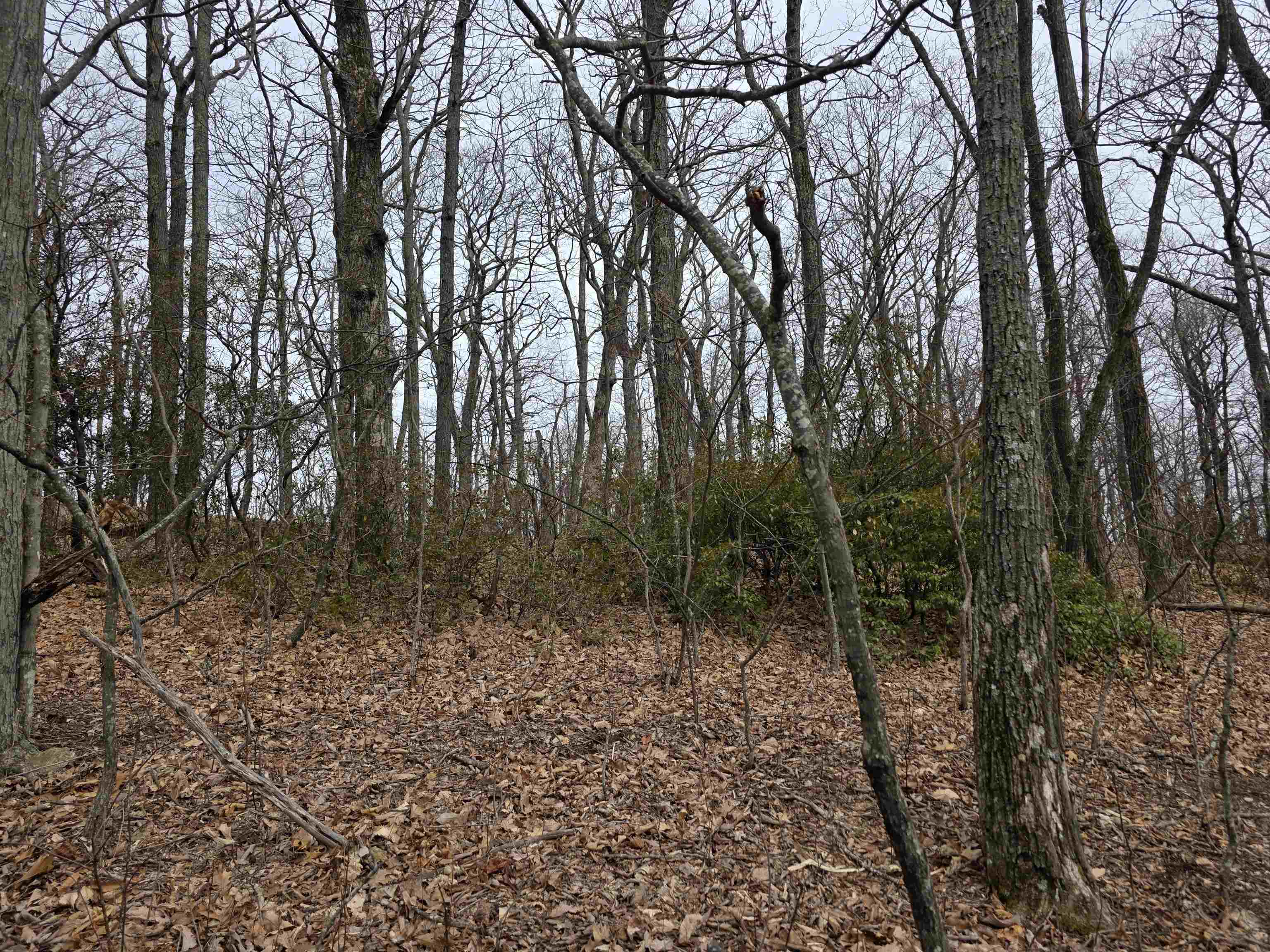 Lot 8 Edgeview Drive Meadows Of Dan VA 24120