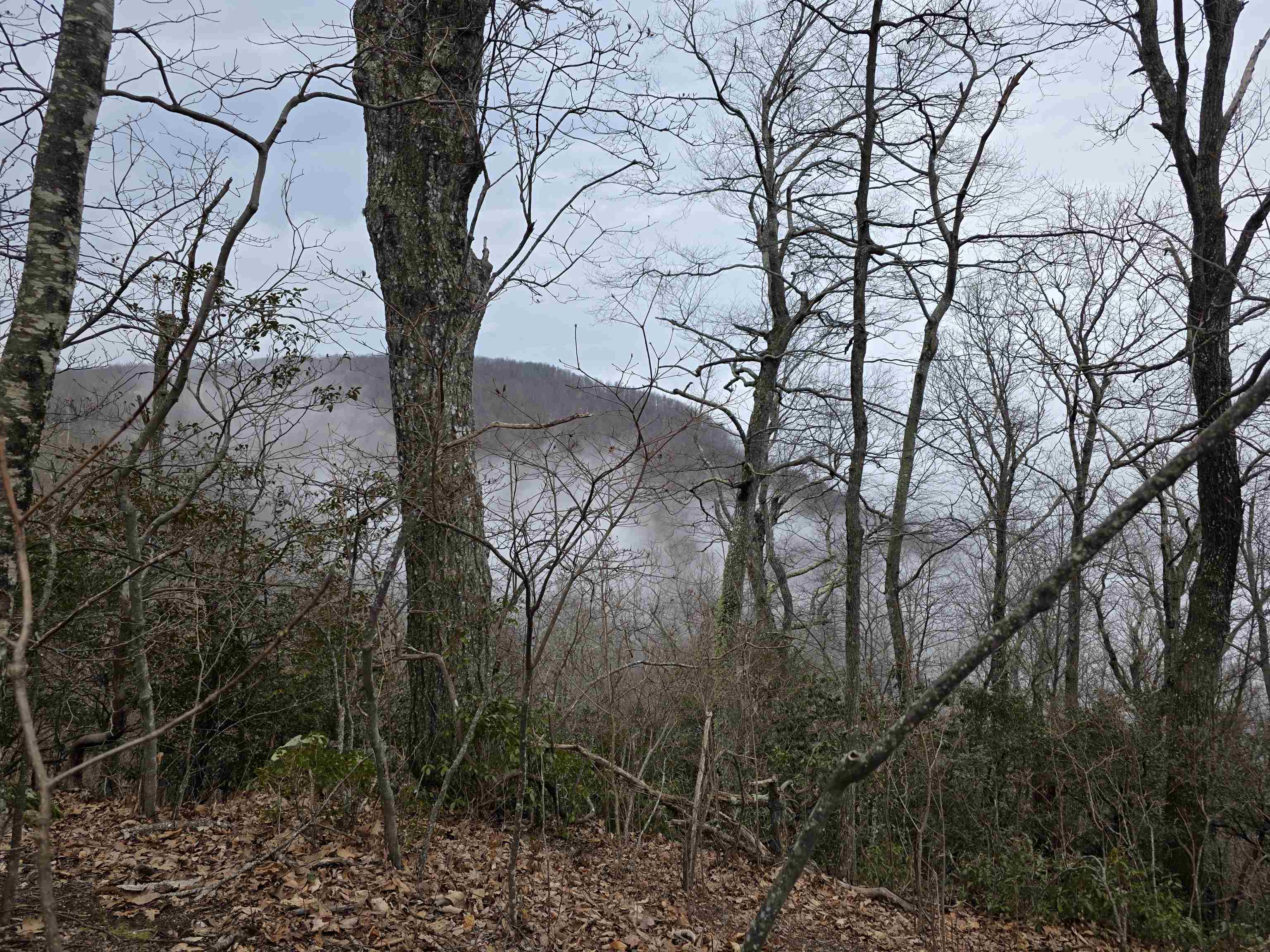 Lot 8 Edgeview Drive Meadows Of Dan VA 24120