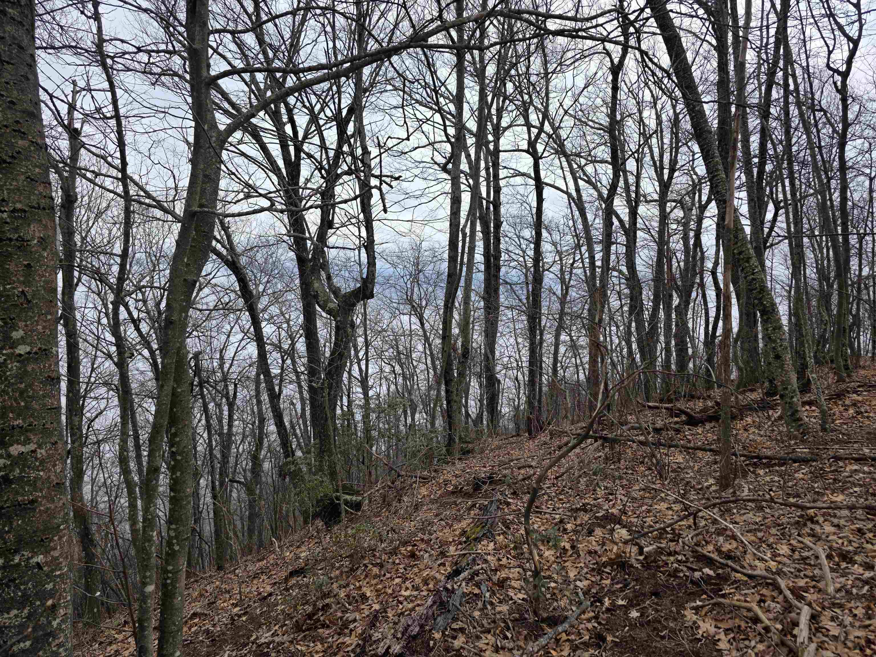 Lot 8 Edgeview Drive Meadows Of Dan VA 24120
