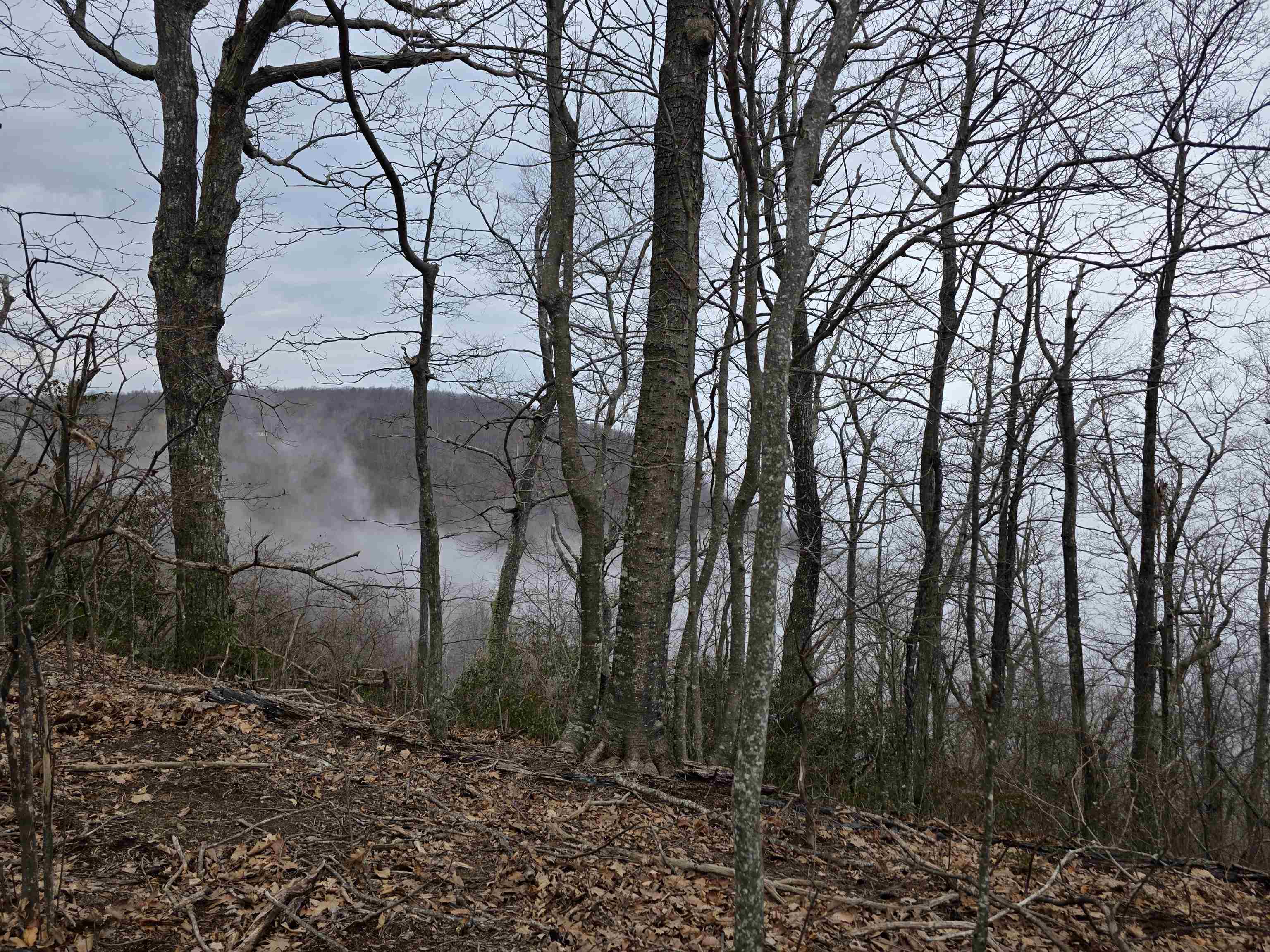 Lot 8 Edgeview Drive Meadows Of Dan VA 24120