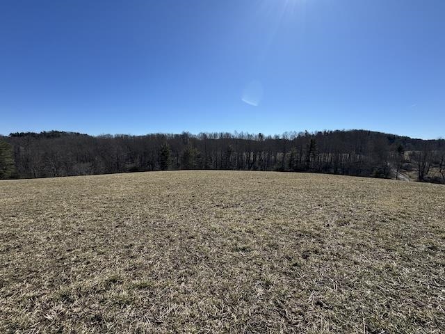 Lot 4 Sumpter Road Willis VA 24380