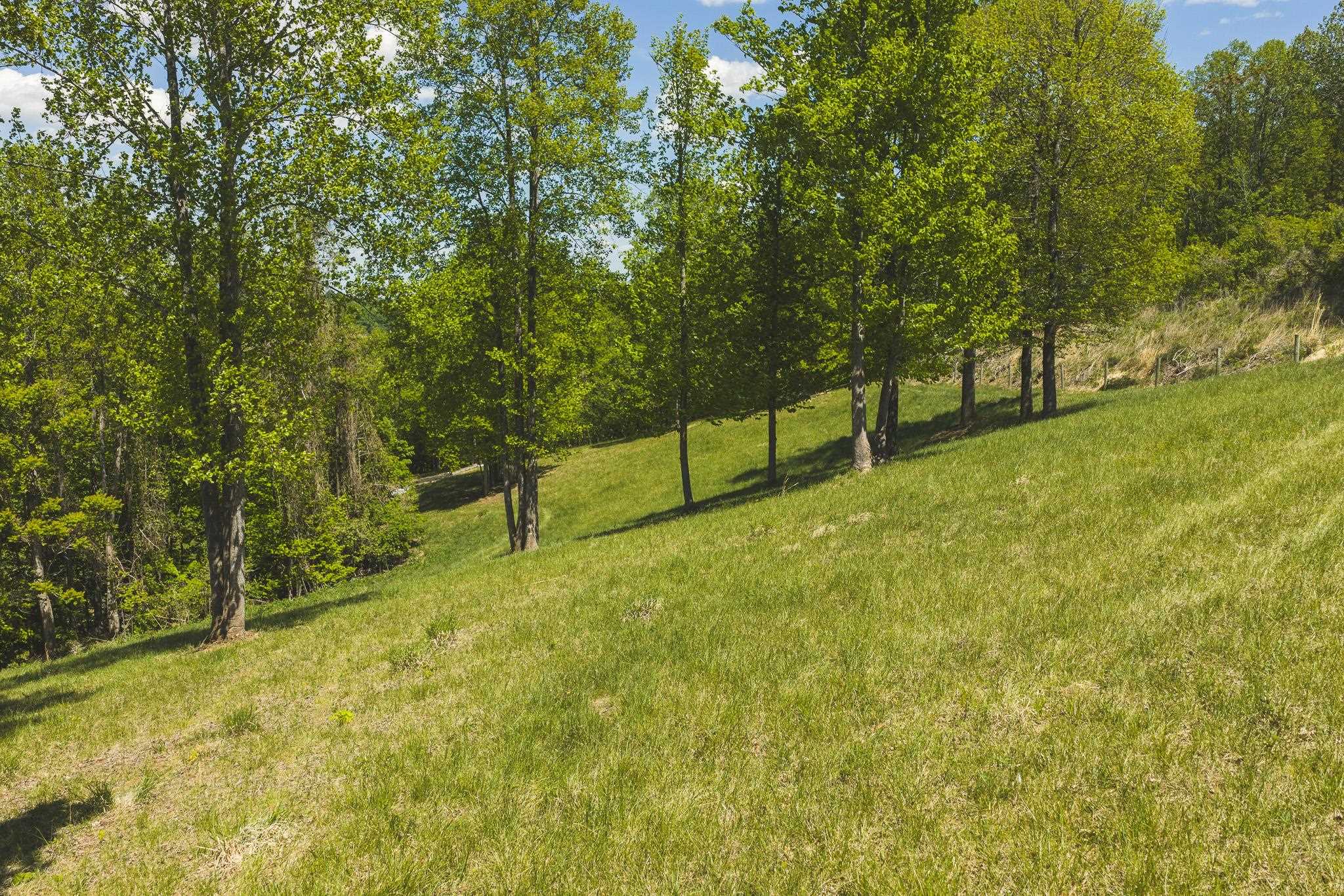 Tbd Fishburn Mountain Road Rocky Mount VA 24151