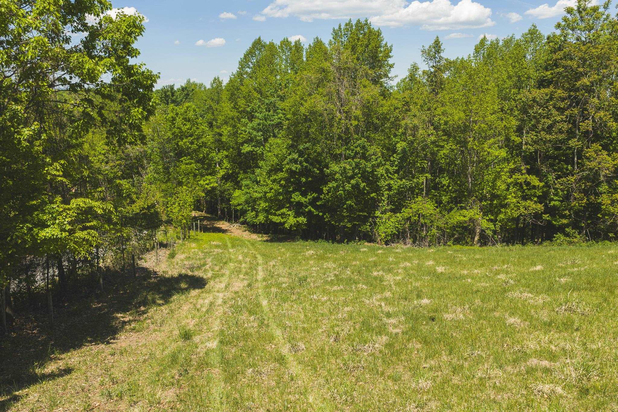 Tbd Fishburn Mountain Road Rocky Mount VA 24151