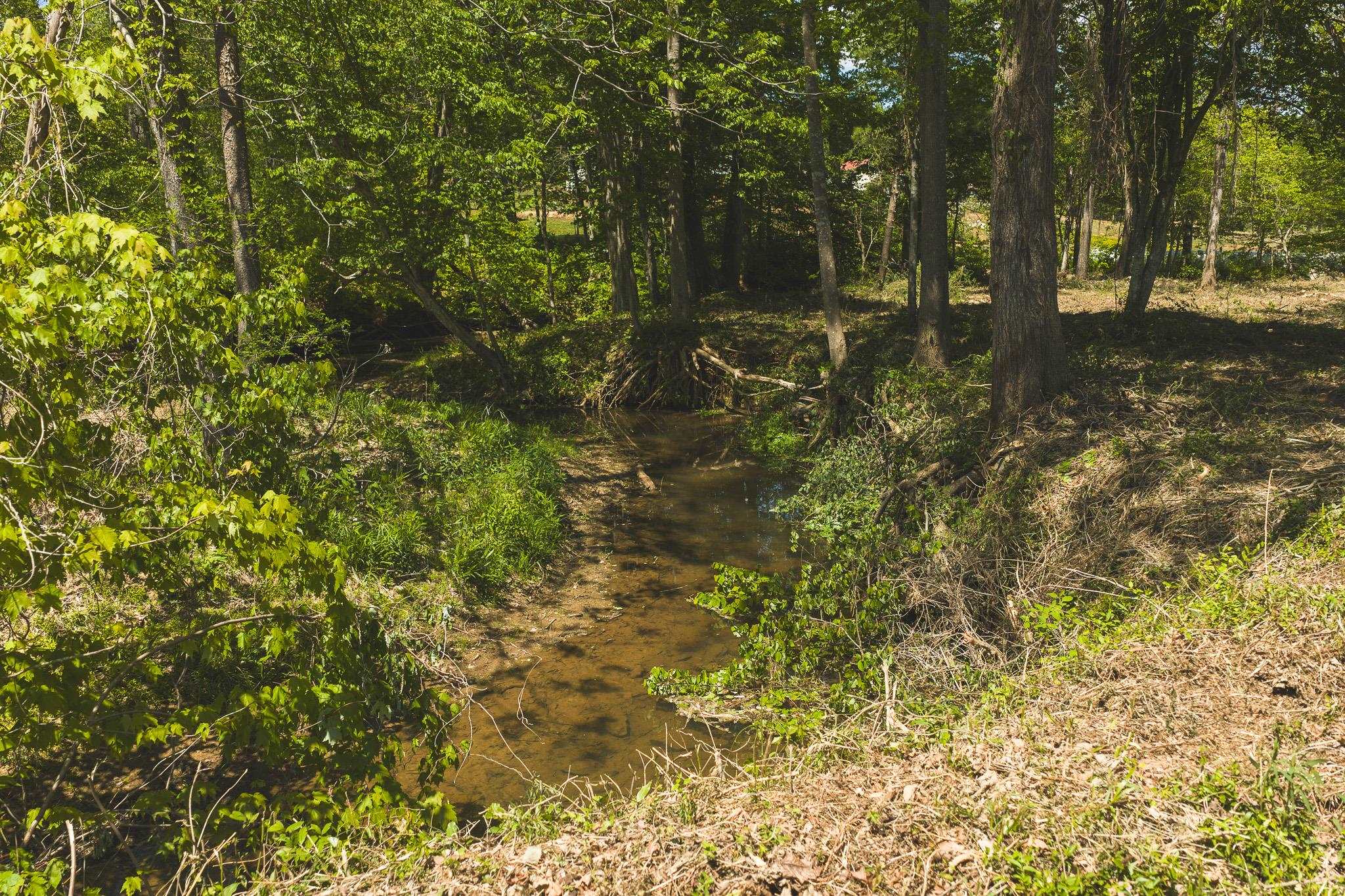 Tbd Fishburn Mountain Road Rocky Mount VA 24151