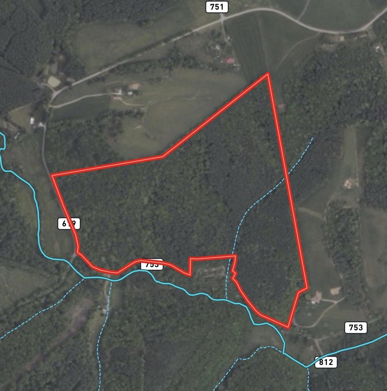 Tbd 80 Ac. Horse Ridge Road Indian Valley VA 24105