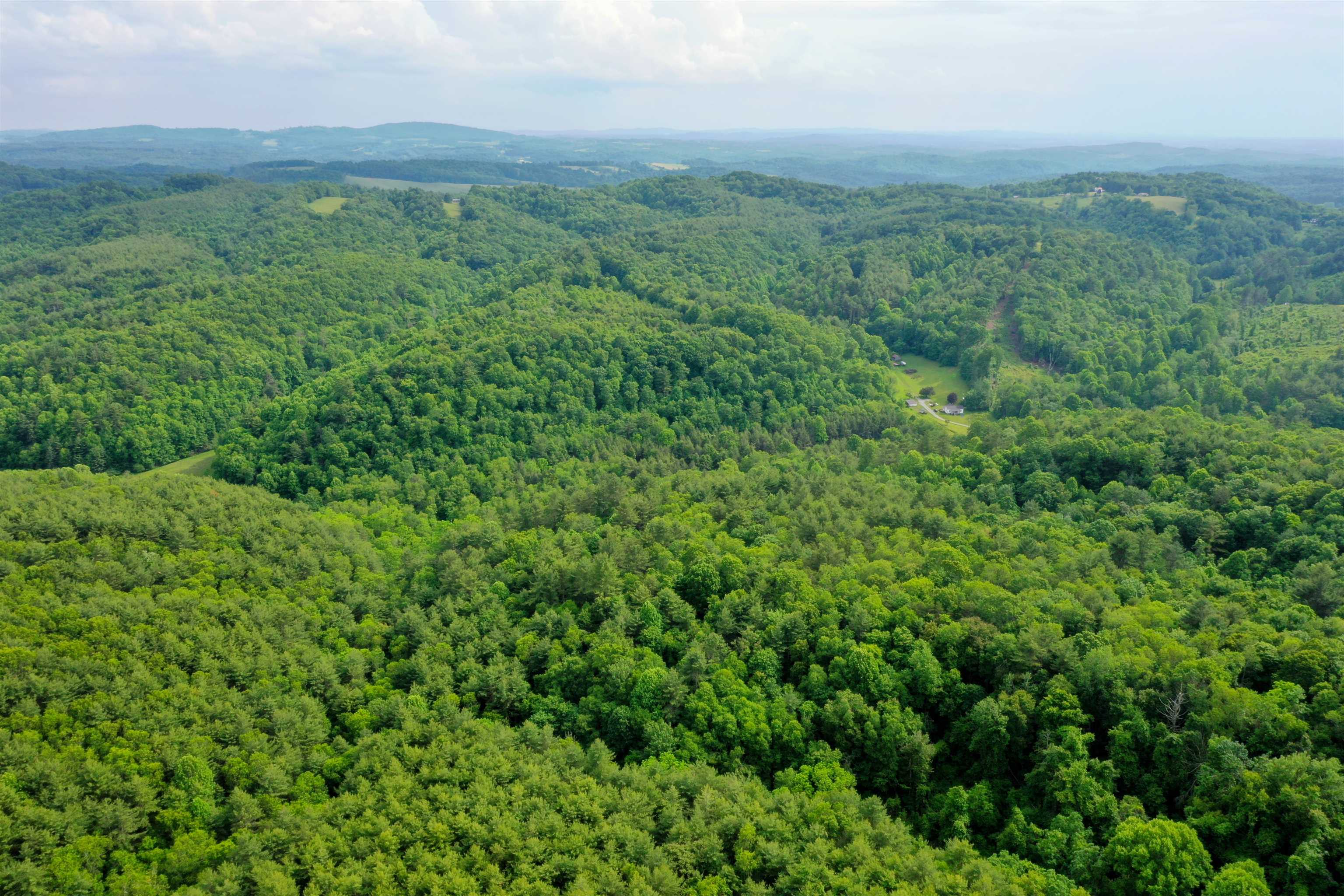 Tbd 80 Ac. Horse Ridge Road Indian Valley VA 24105