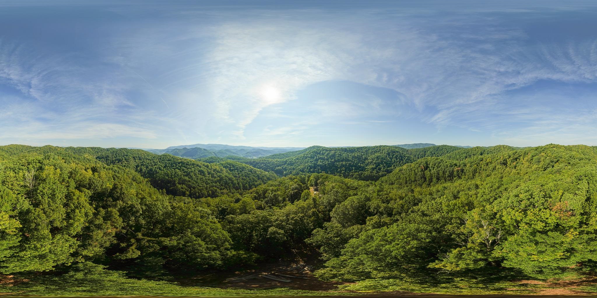 Tbd Georges Run Road Shawsville VA 24162