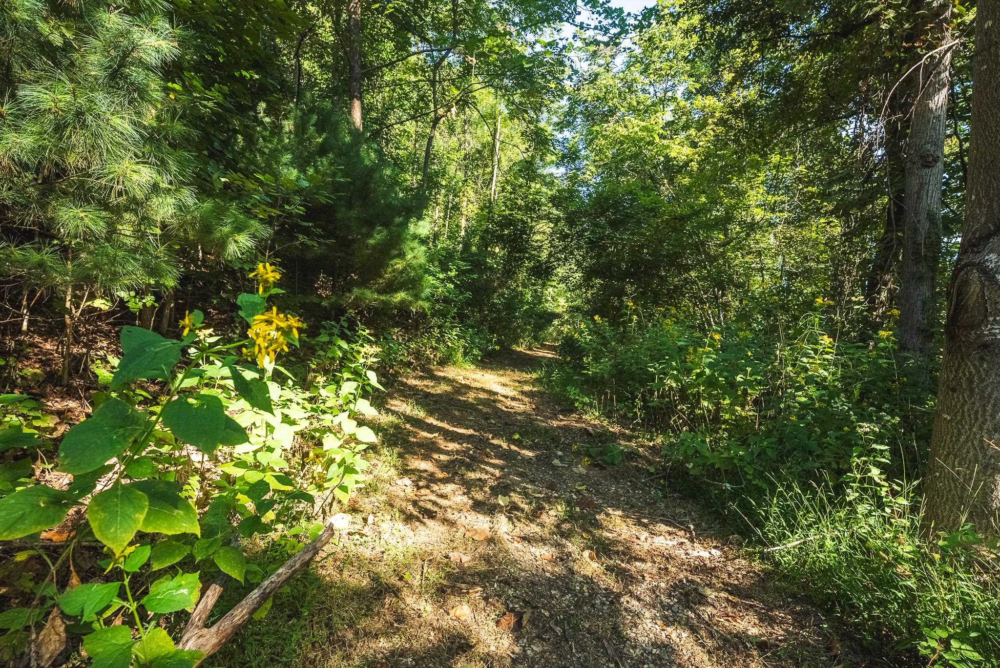 Tbd Georges Run Road Shawsville VA 24162