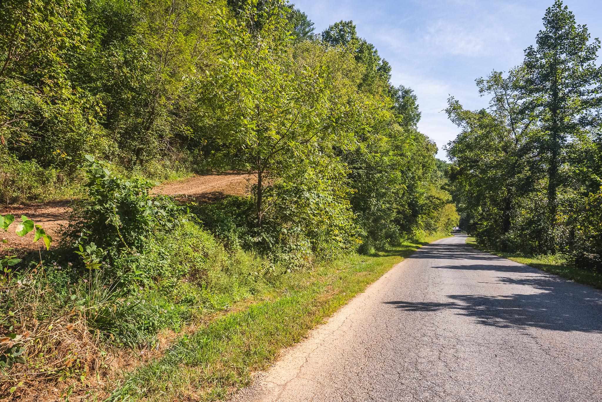 Tbd Georges Run Road Shawsville VA 24162