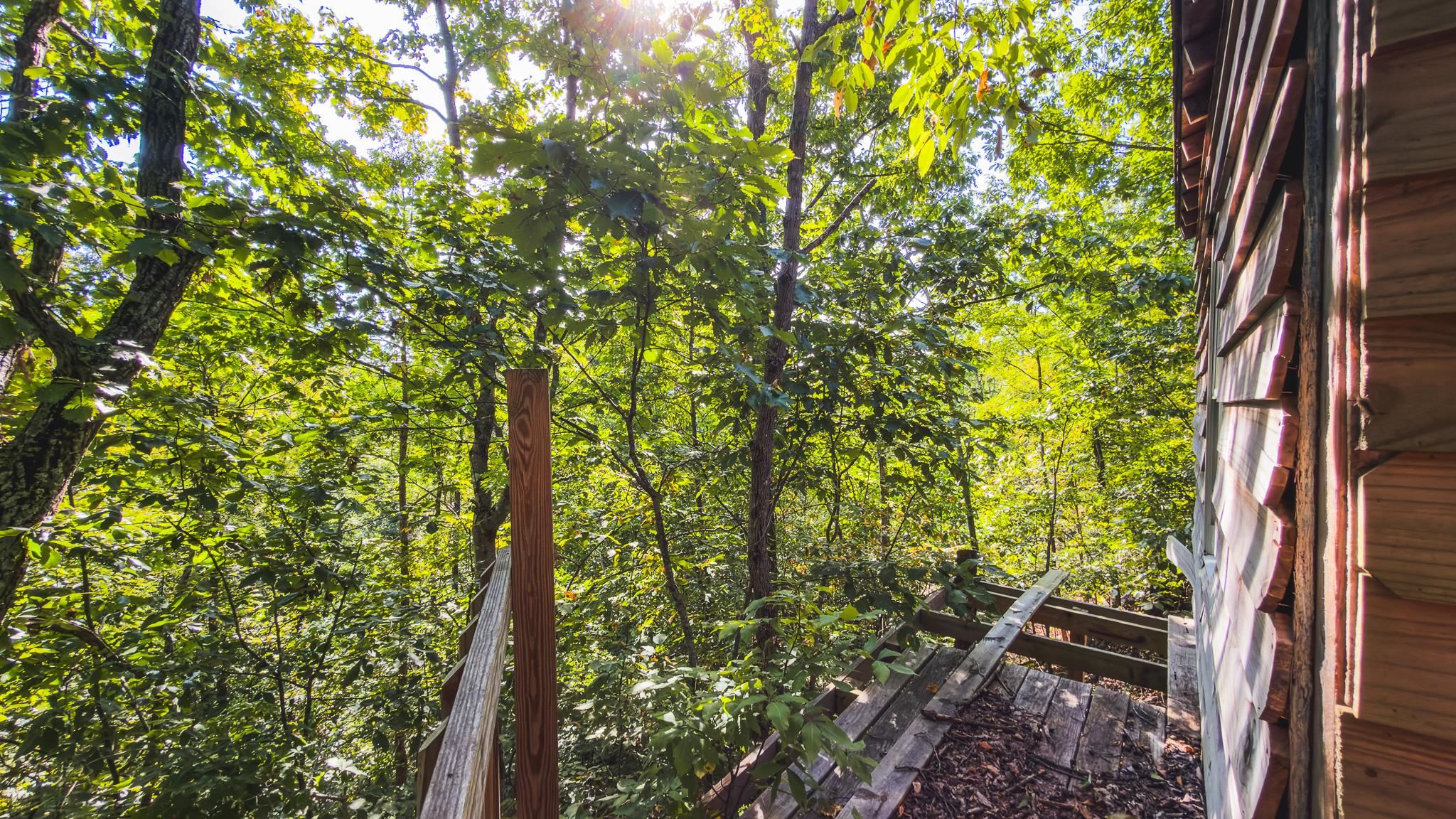 Tbd Georges Run Road Shawsville VA 24162