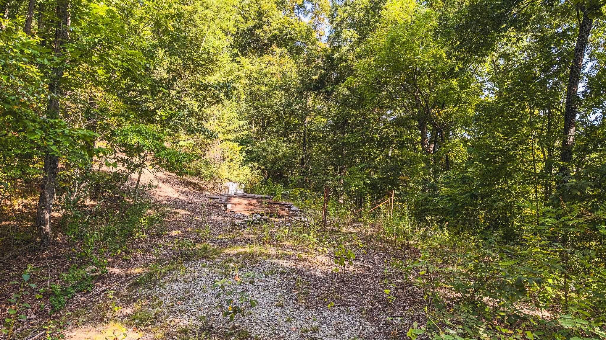 Tbd Georges Run Road Shawsville VA 24162