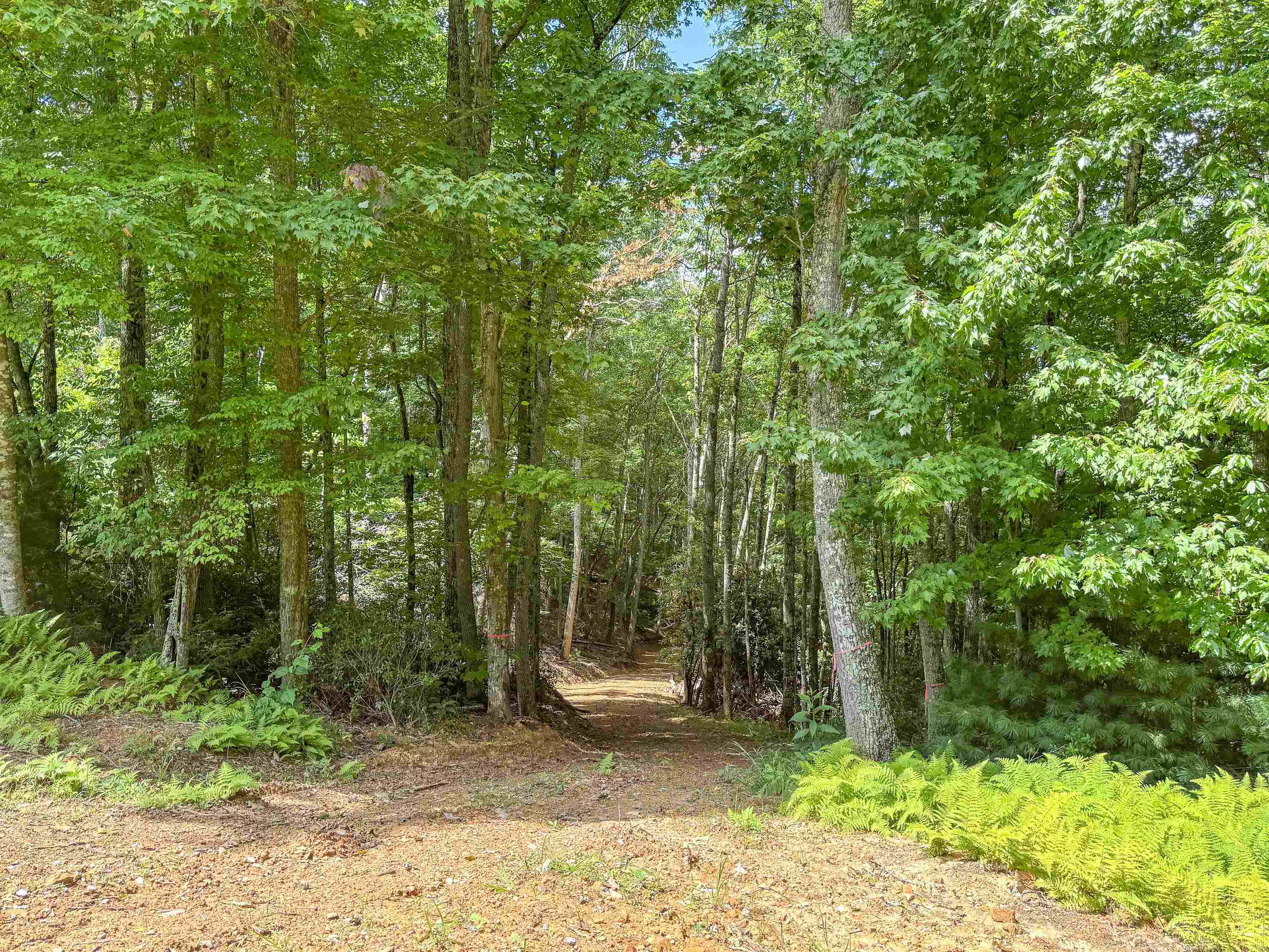 102 Mossy Oak Lane Bland VA 24315