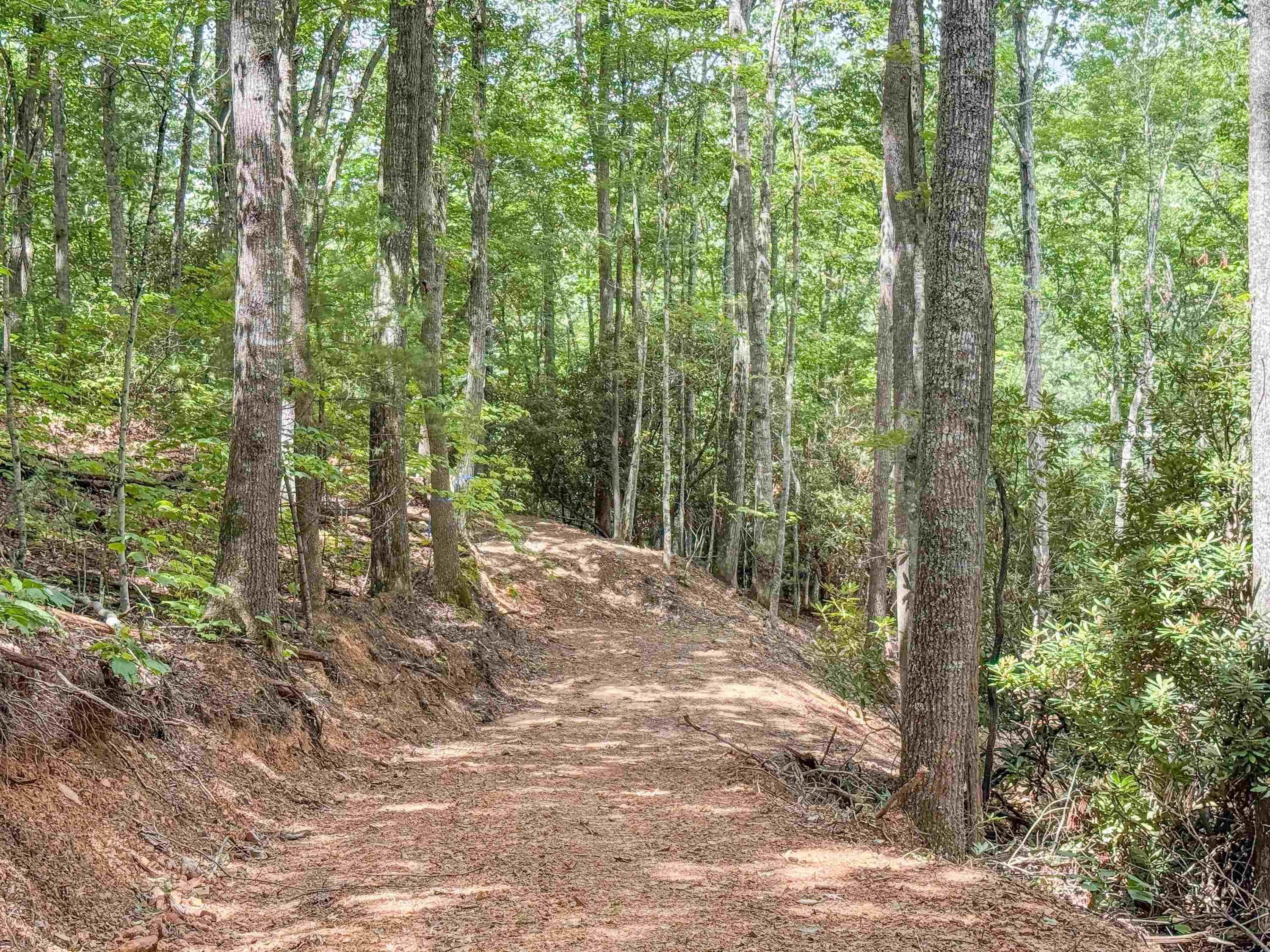 102 Mossy Oak Lane Bland VA 24315