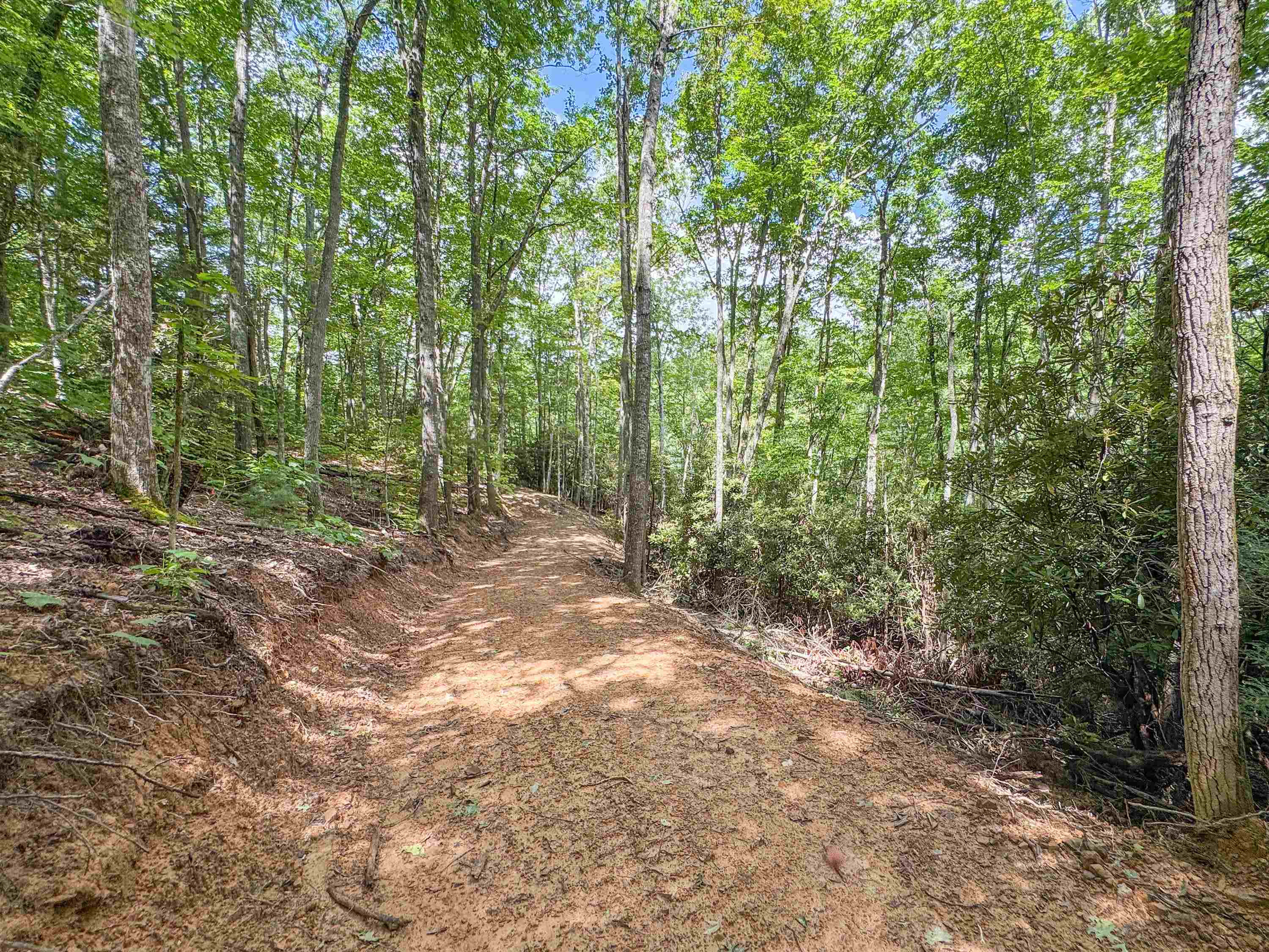 102 Mossy Oak Lane Bland VA 24315