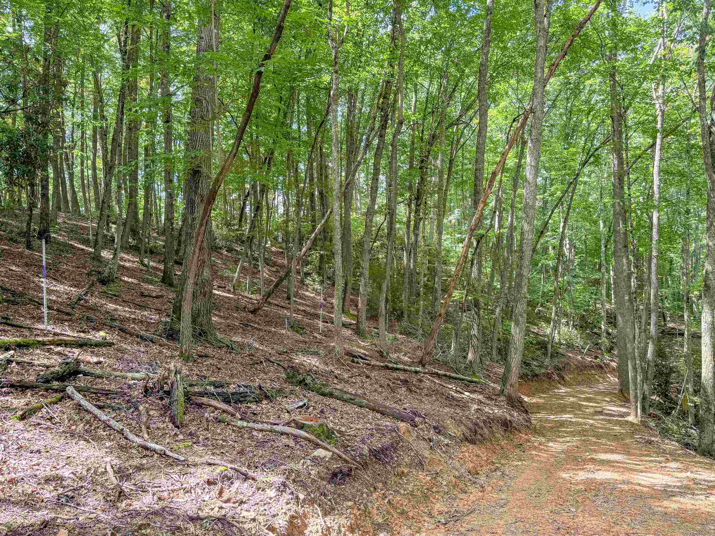 102 Mossy Oak Lane Bland VA 24315