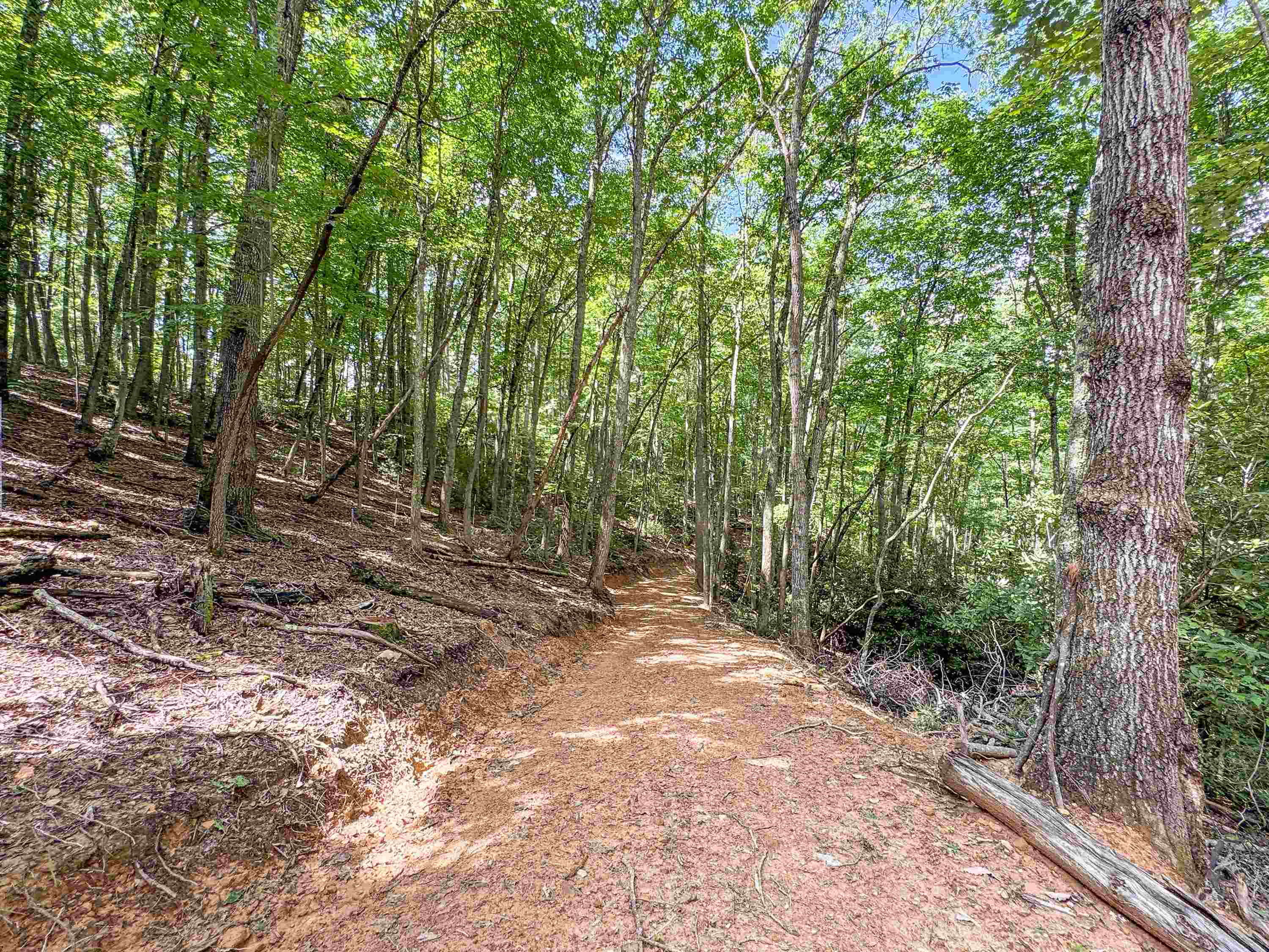 102 Mossy Oak Lane Bland VA 24315