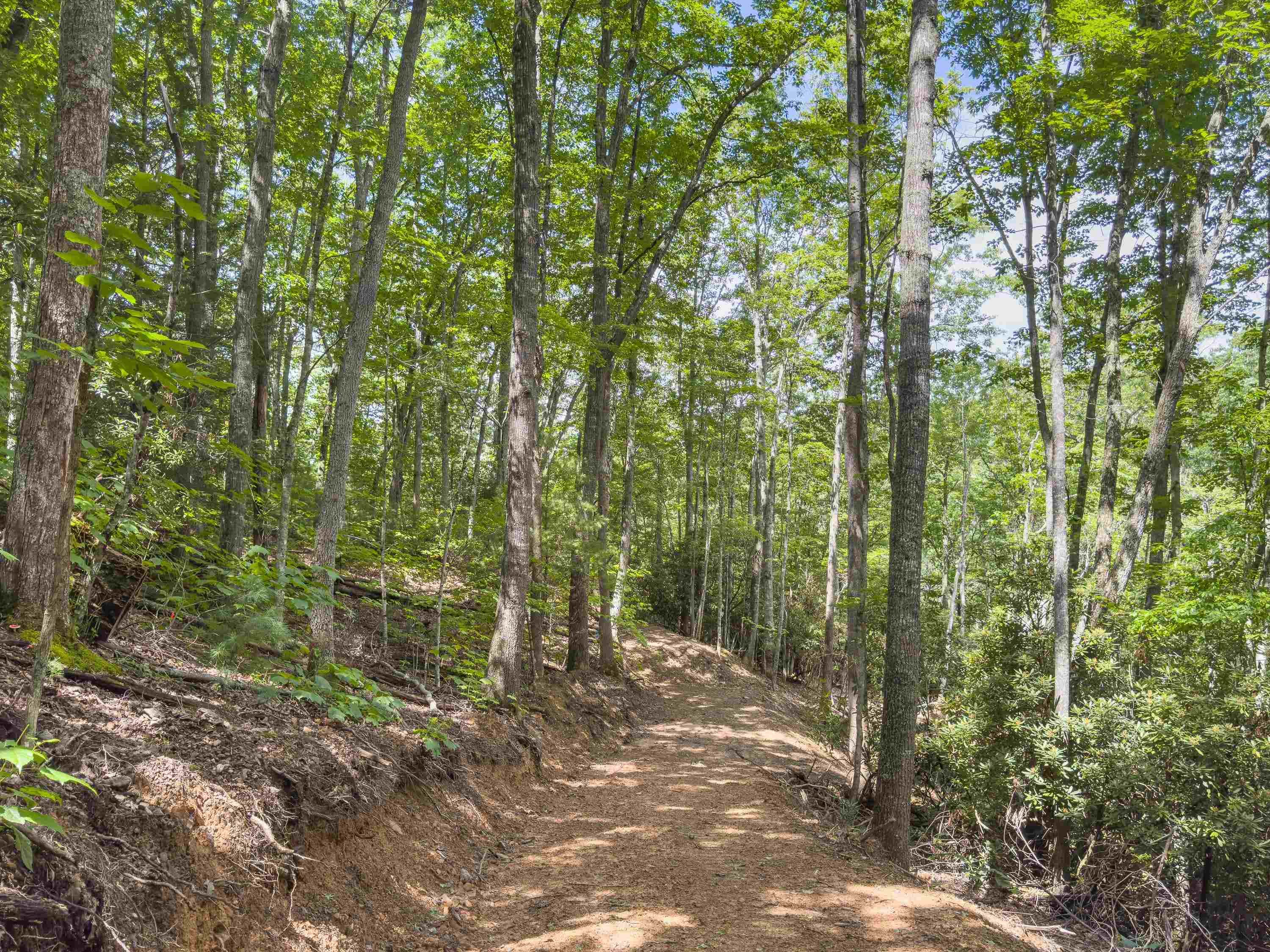 102 Mossy Oak Lane Bland VA 24315
