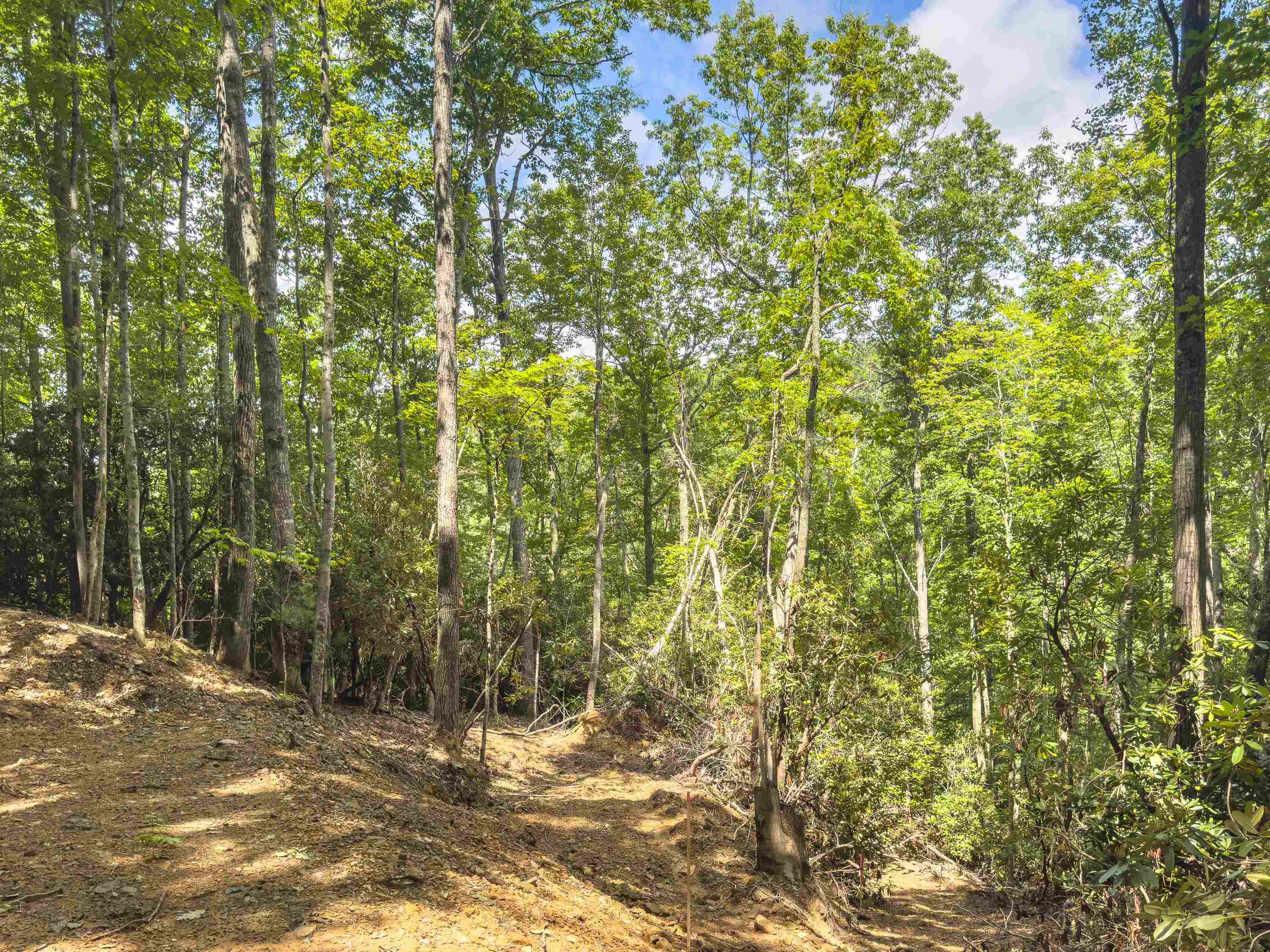 102 Mossy Oak Lane Bland VA 24315