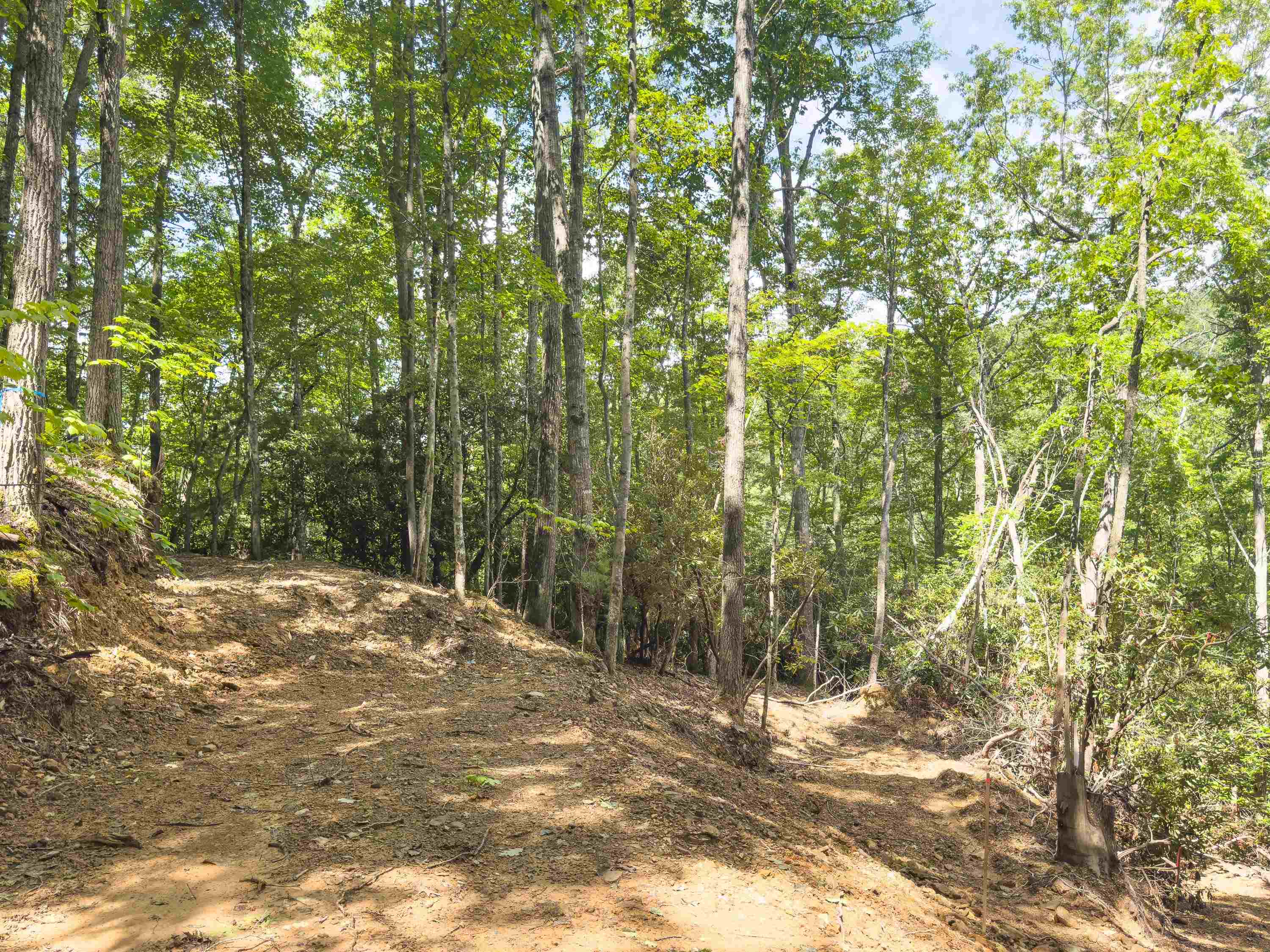 102 Mossy Oak Lane Bland VA 24315