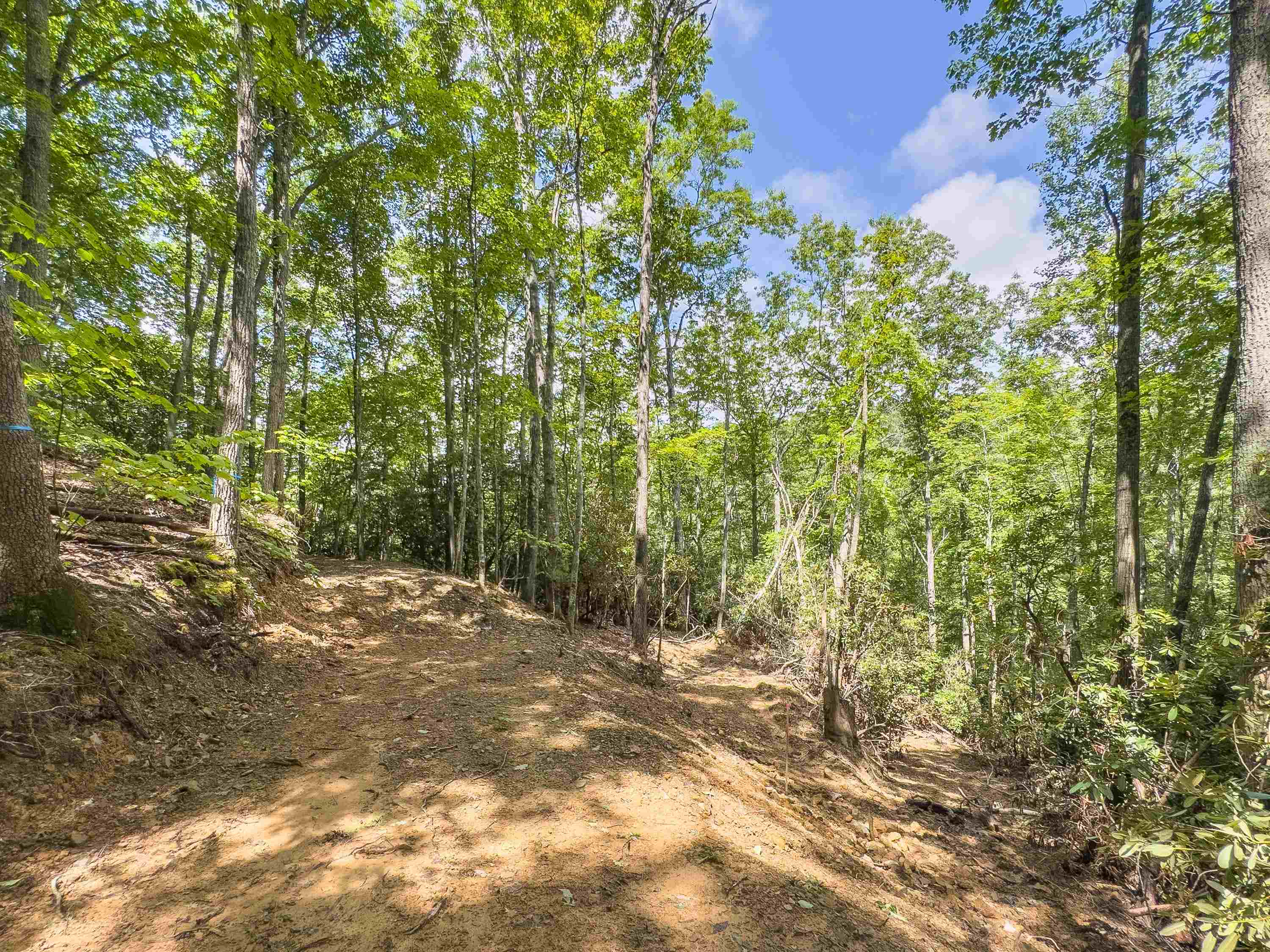 102 Mossy Oak Lane Bland VA 24315
