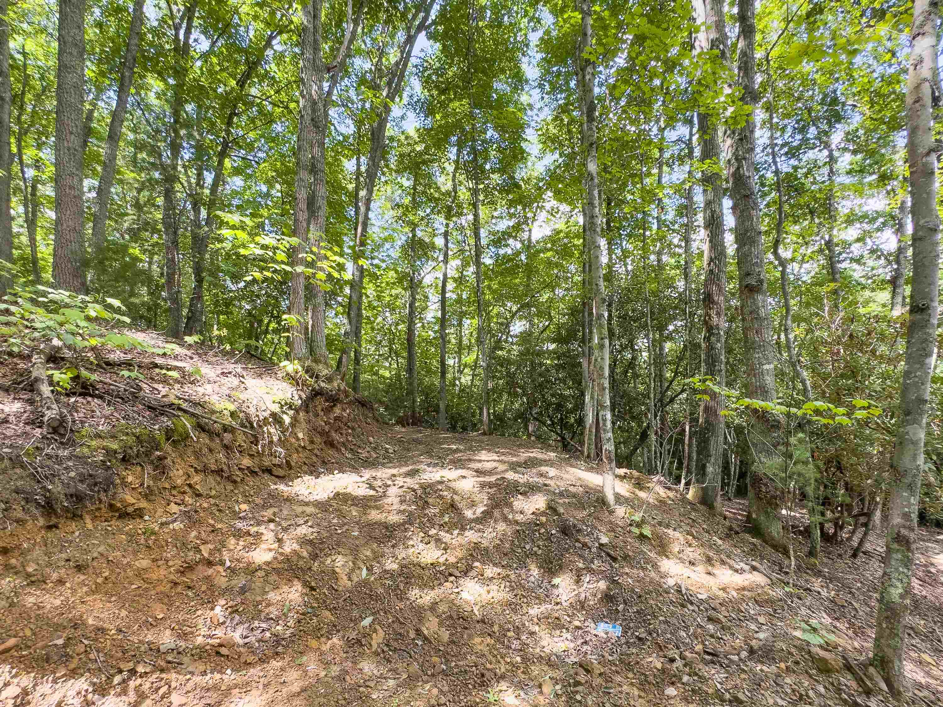 102 Mossy Oak Lane Bland VA 24315