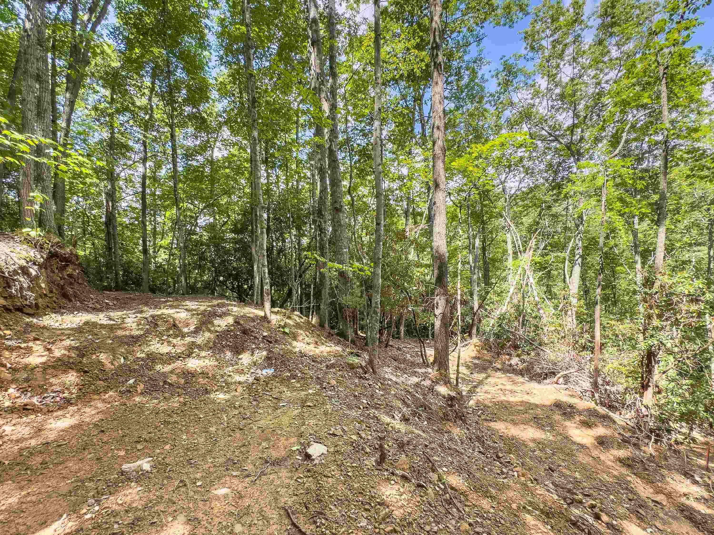 102 Mossy Oak Lane Bland VA 24315