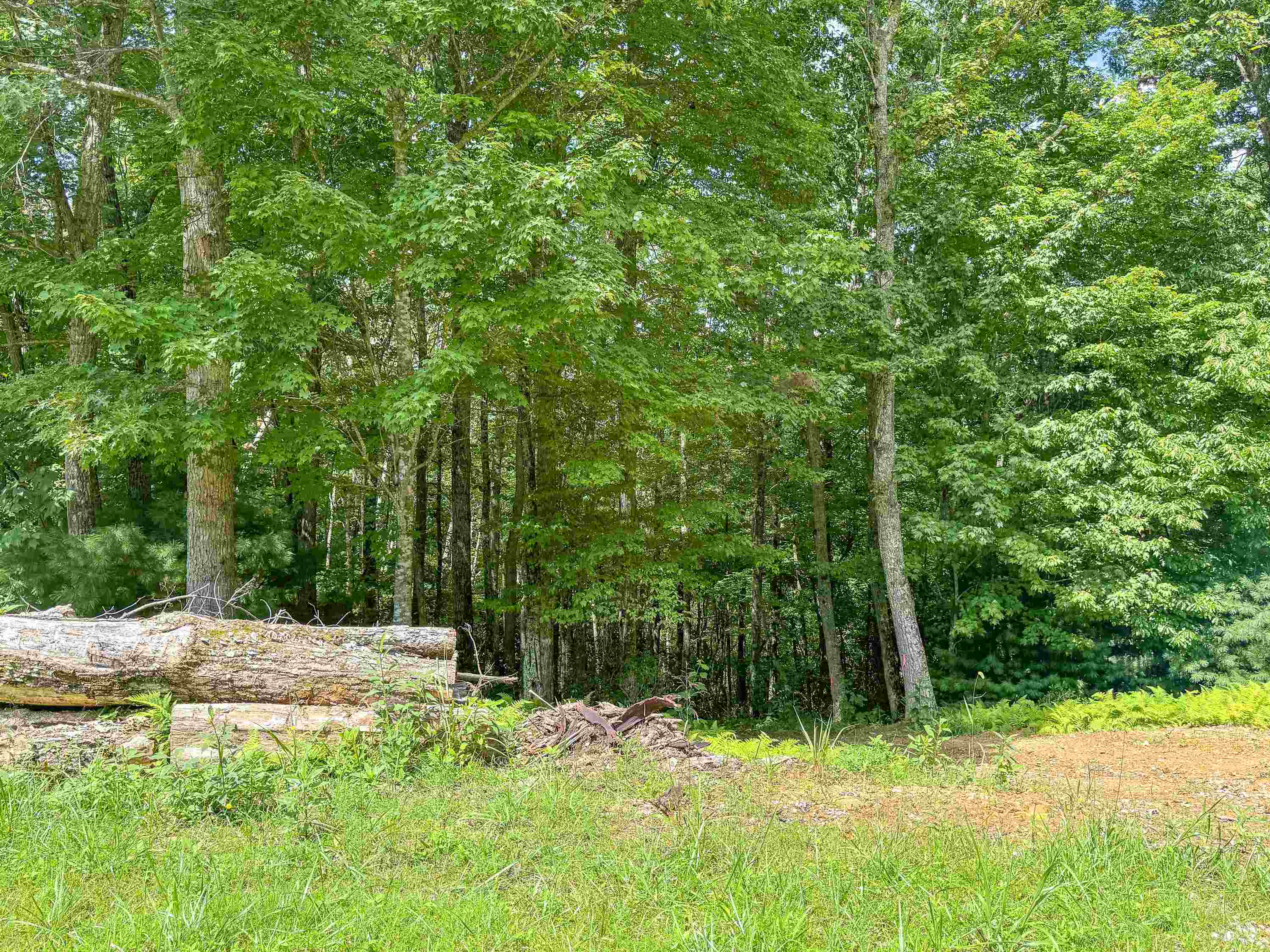 102 Mossy Oak Lane Bland VA 24315