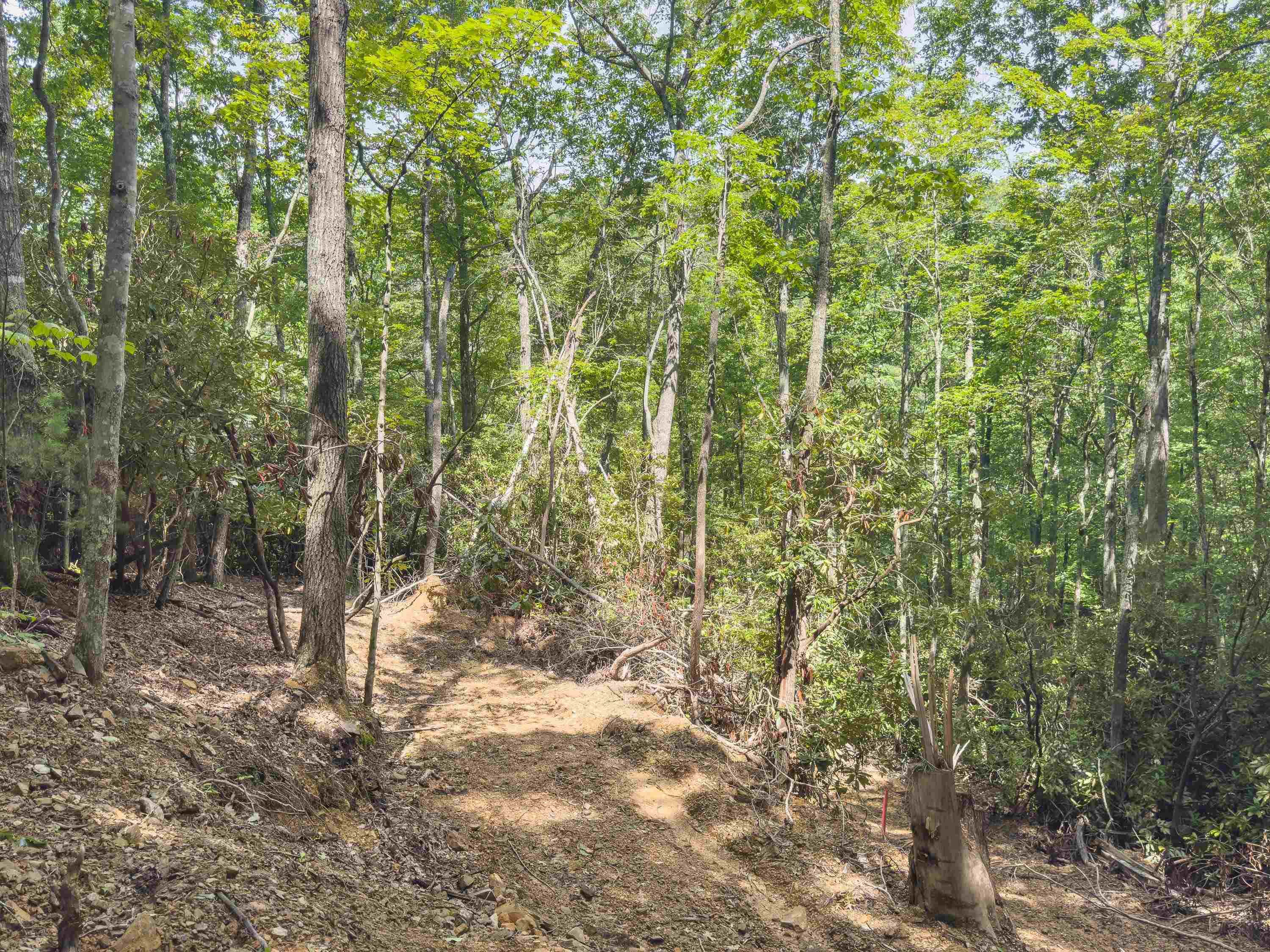 102 Mossy Oak Lane Bland VA 24315