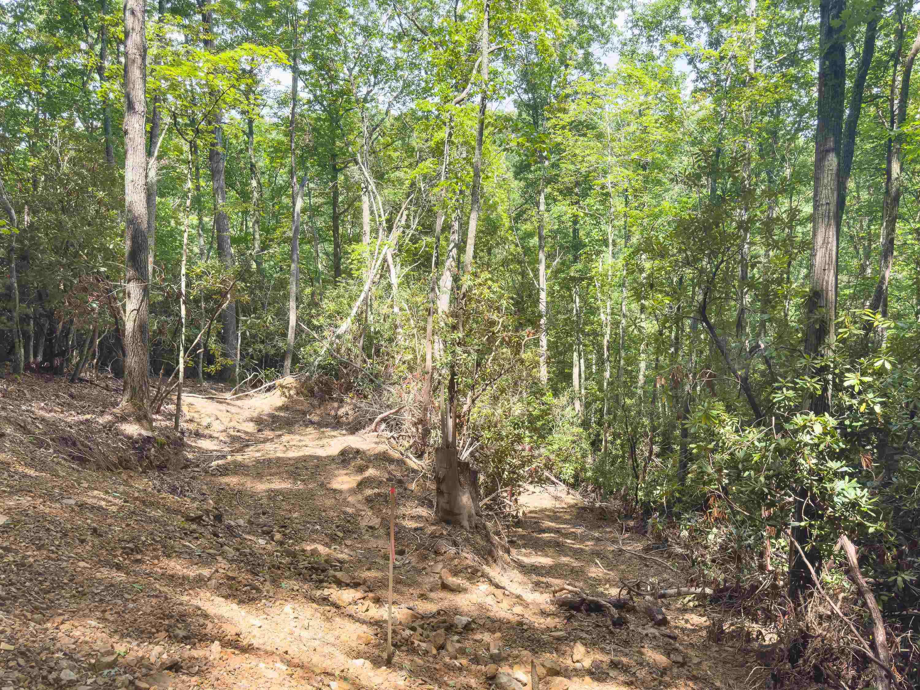 102 Mossy Oak Lane Bland VA 24315